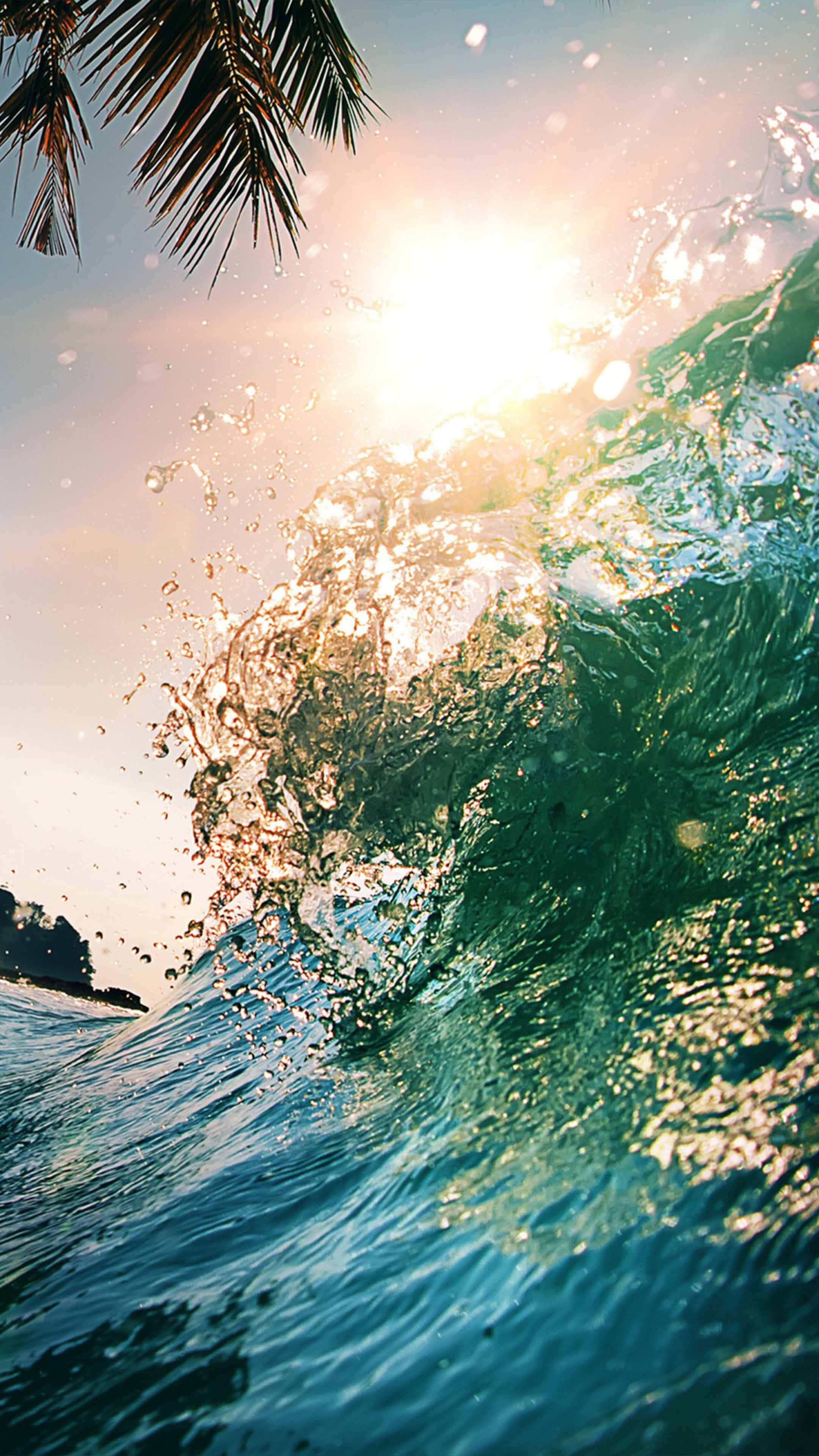 waves 桌布 壁紙 — 陽光照耀的海浪向上衝擊，閃爍的水珠在棕櫚葉框住的熱帶天空下飛濺。