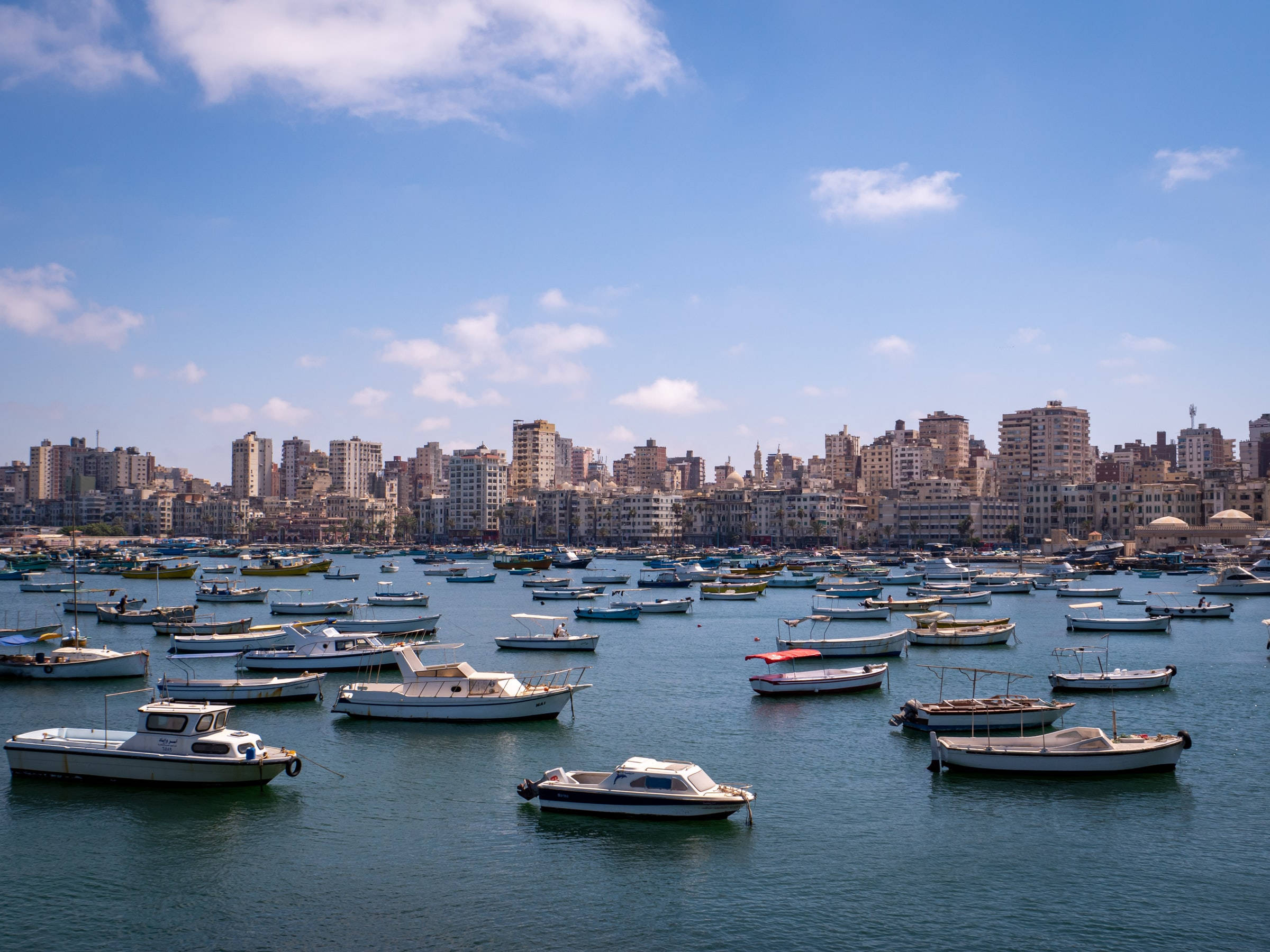 Alexandria 桌布 壁紙 — 陽光照耀的港口，停滿了船隻，藍天白雲，背景是城市天際線。