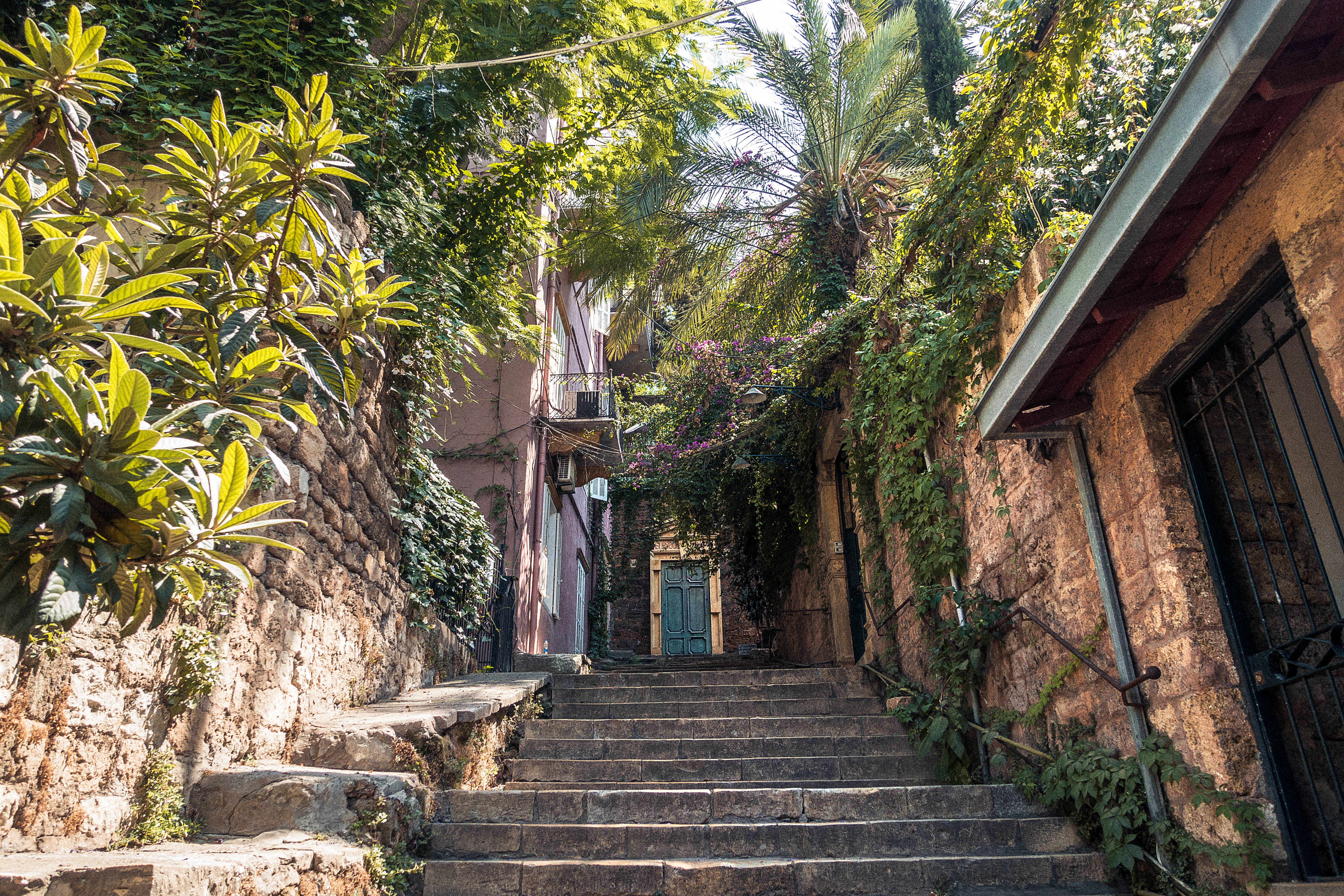 Lebanon 桌布 壁紙 — 陽光照耀的石階穿過茂密的綠植，在風化的建築之間向上延伸，通往遠處的一扇藍色門。