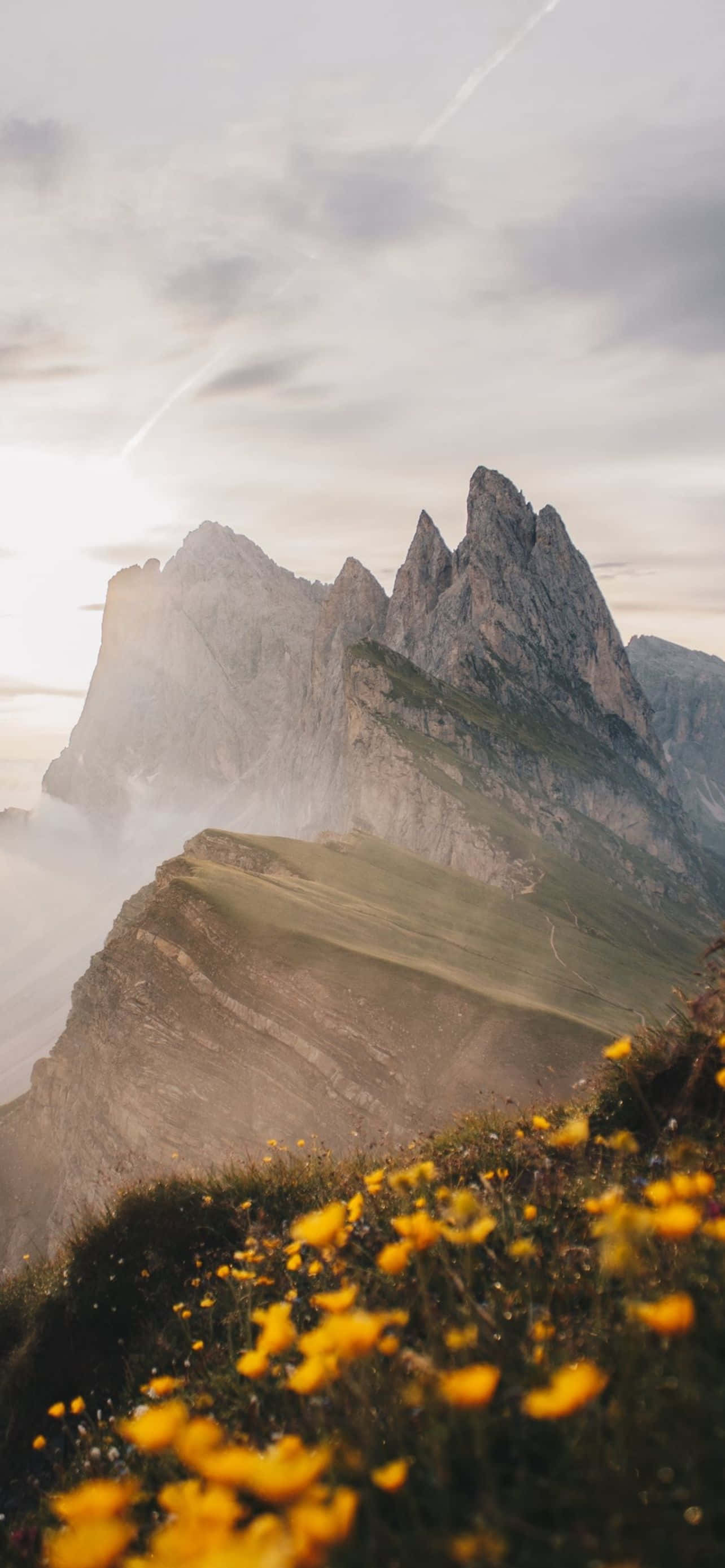 Mountain iPhone 桌布 壁紙 — 陽光照耀的鋸齒狀山峰聳立於薄霧之上，前景的野花在金色光芒中閃耀。