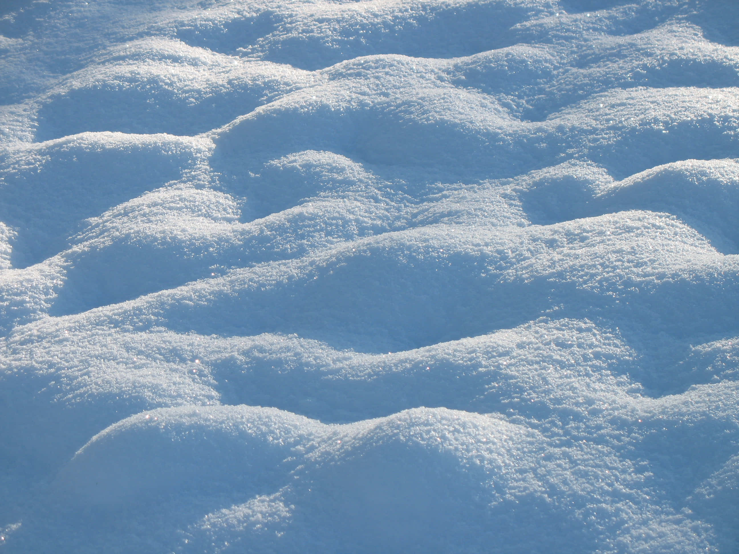 雪 桌布 壁紙 — 陽光照耀的雪形成柔軟起伏的波浪，帶有清晰的藍色陰影和閃閃發光的高光。