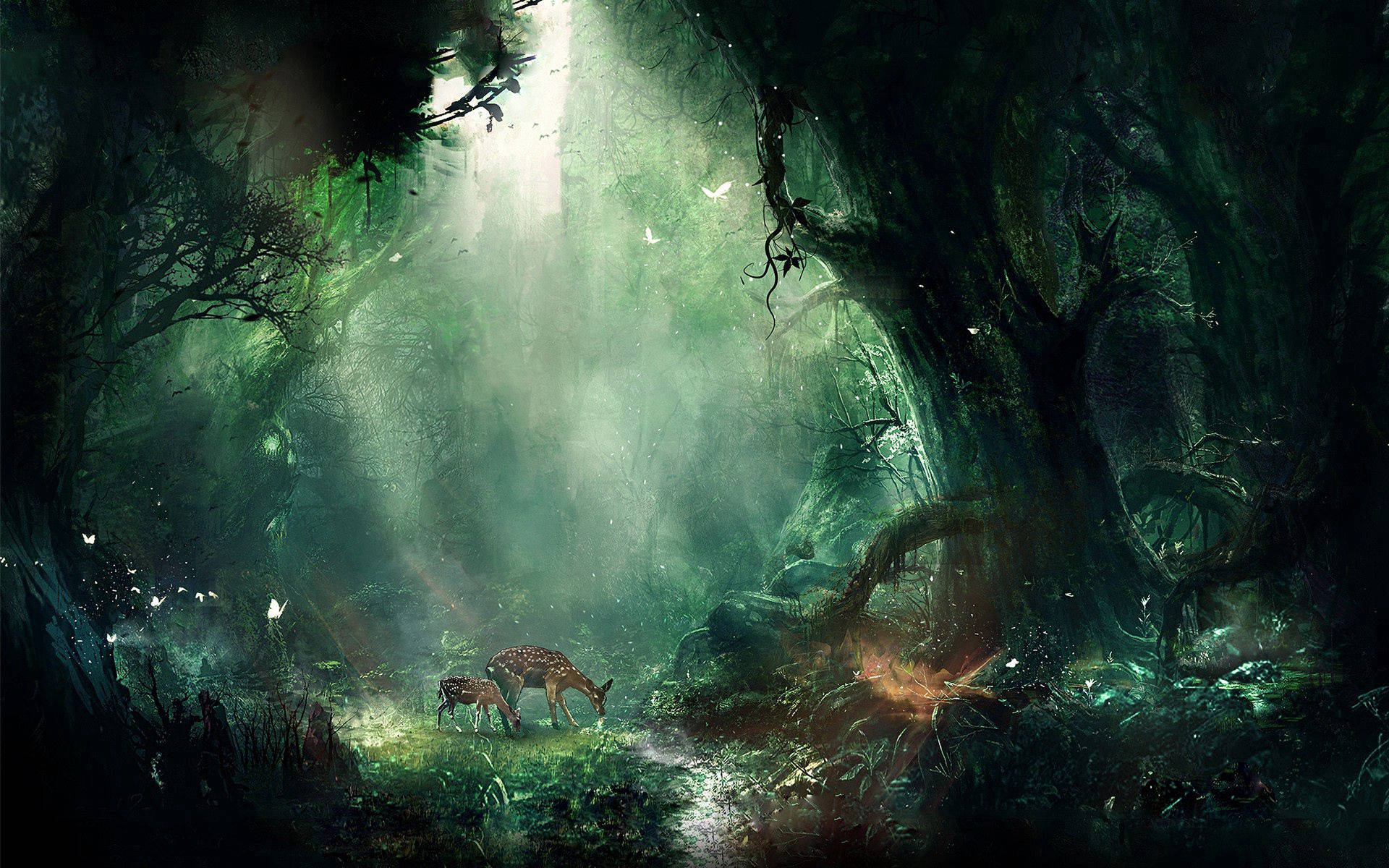 animals 桌布 壁紙 — 陽光穿透古老的長滿苔蘚的樹木，照亮了兩隻在迷霧魔法森林中吃草的鹿。