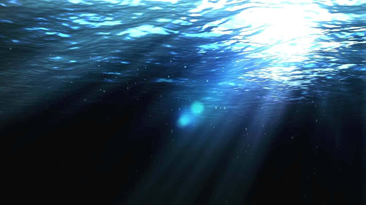 陽光穿過海面，照亮帶有浮游粒子的深色海水。 — 影片 GIF 壁紙