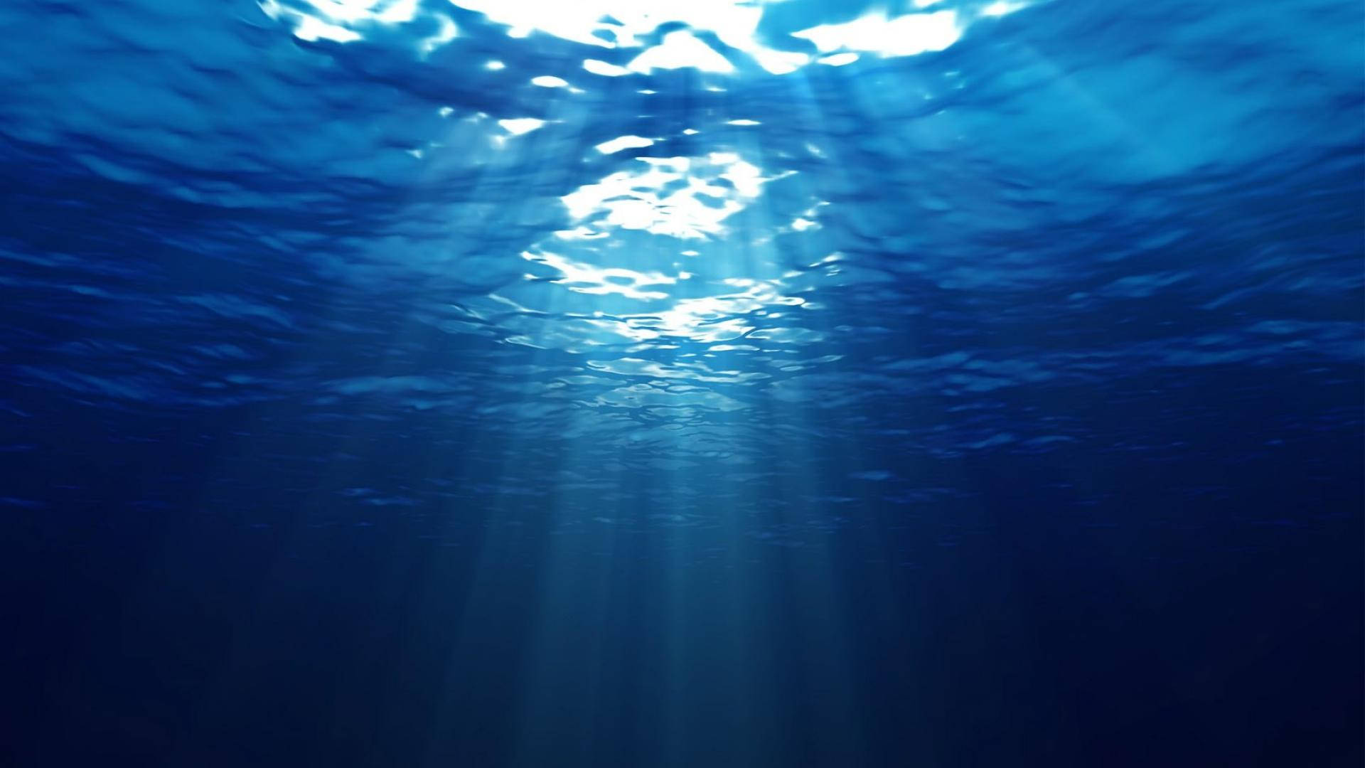 水下動畫 桌布 壁紙 — 陽光穿透海面，在深藍海水中投射出空靈的光線。