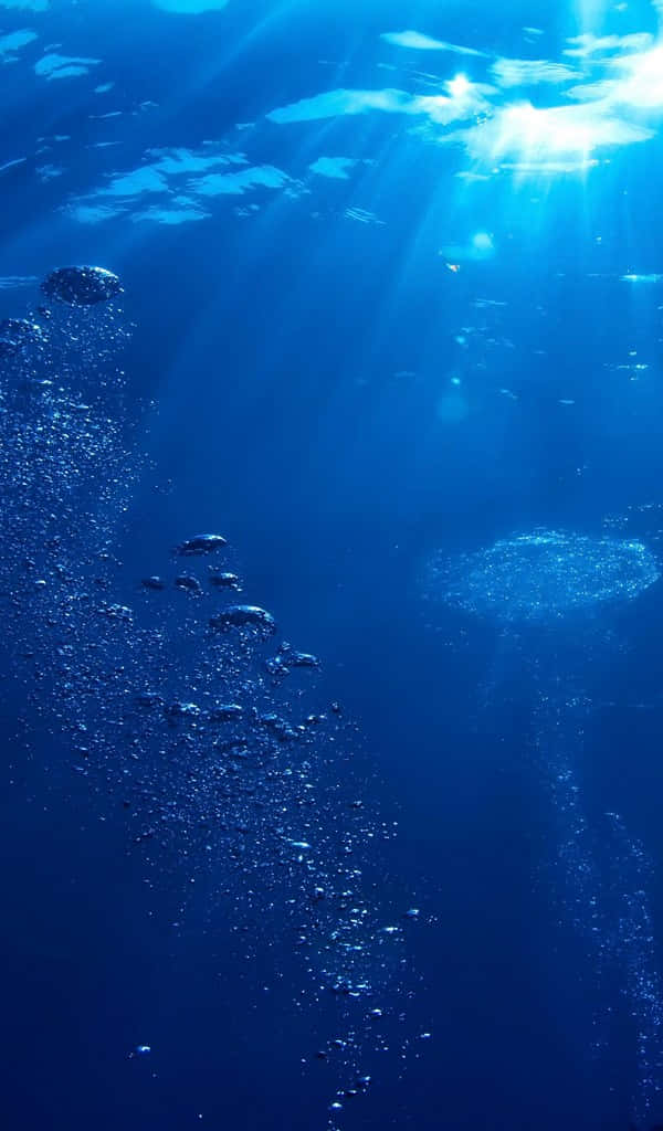 600x1024 桌布 壁紙 — 陽光穿透深藍色海水，照亮下方旋轉的氣泡和漂浮的微粒。