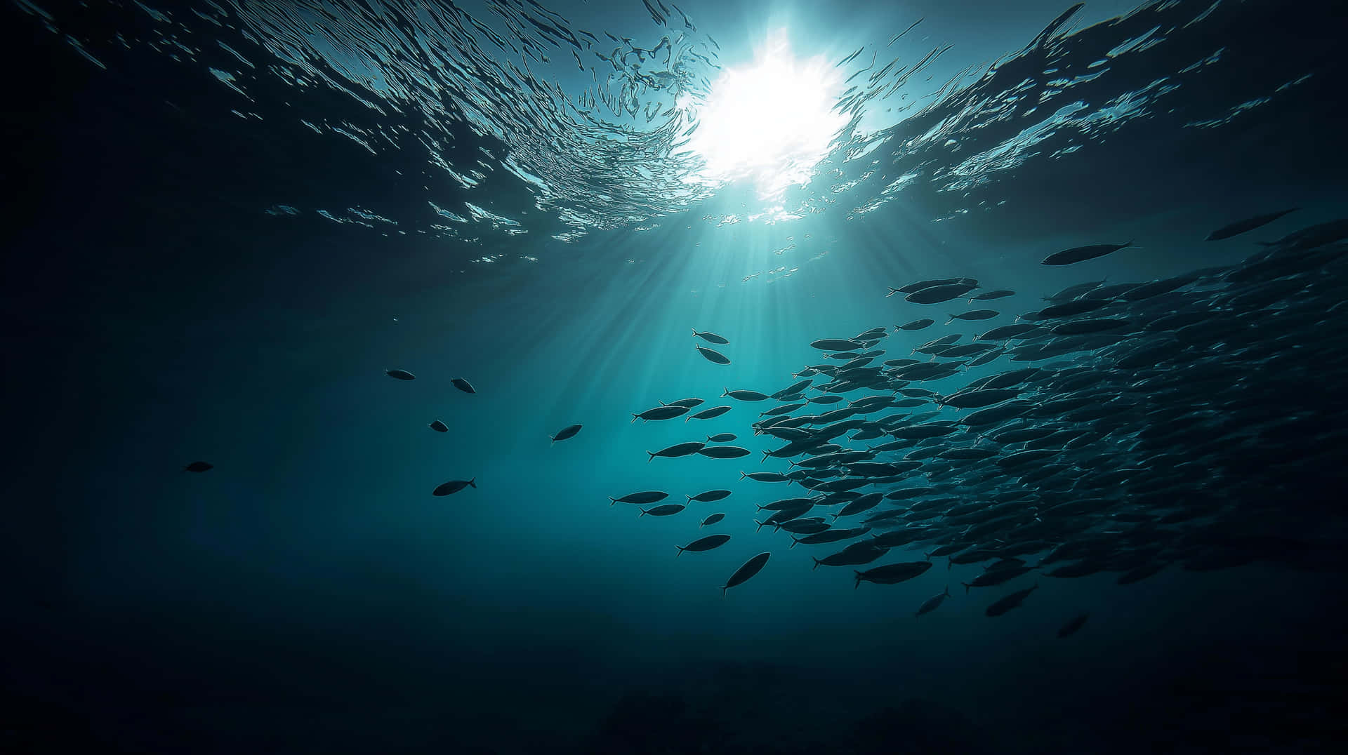 Sunlit Ocean Depths with Schooling Marine Life 壁紙 — 陽光穿透深藍色海洋表面，照亮下方旋轉的魚群。