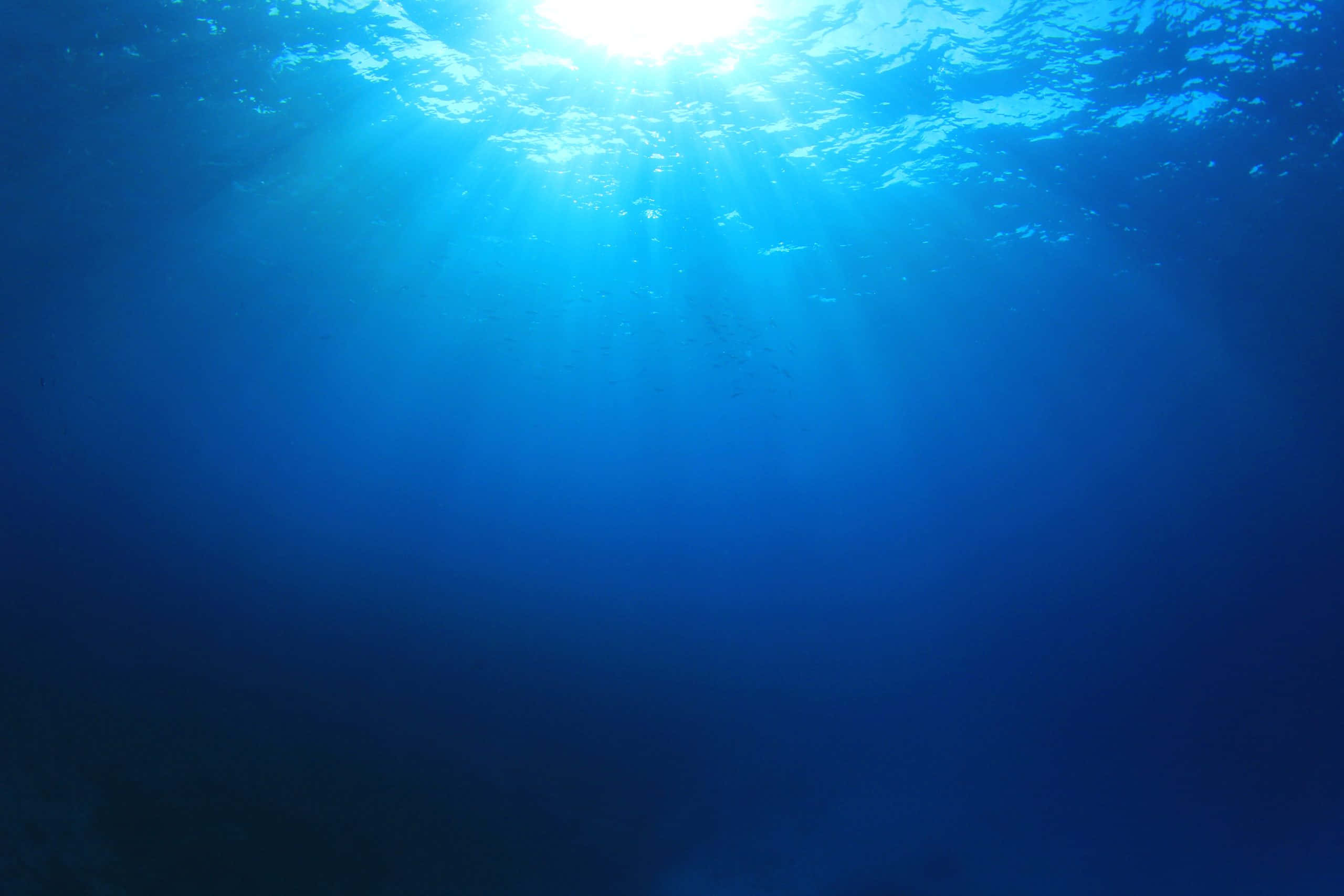 Underwater Ocean 桌布 壁紙 — 陽光穿透深藍色海面，形成耀眼的水下光線。