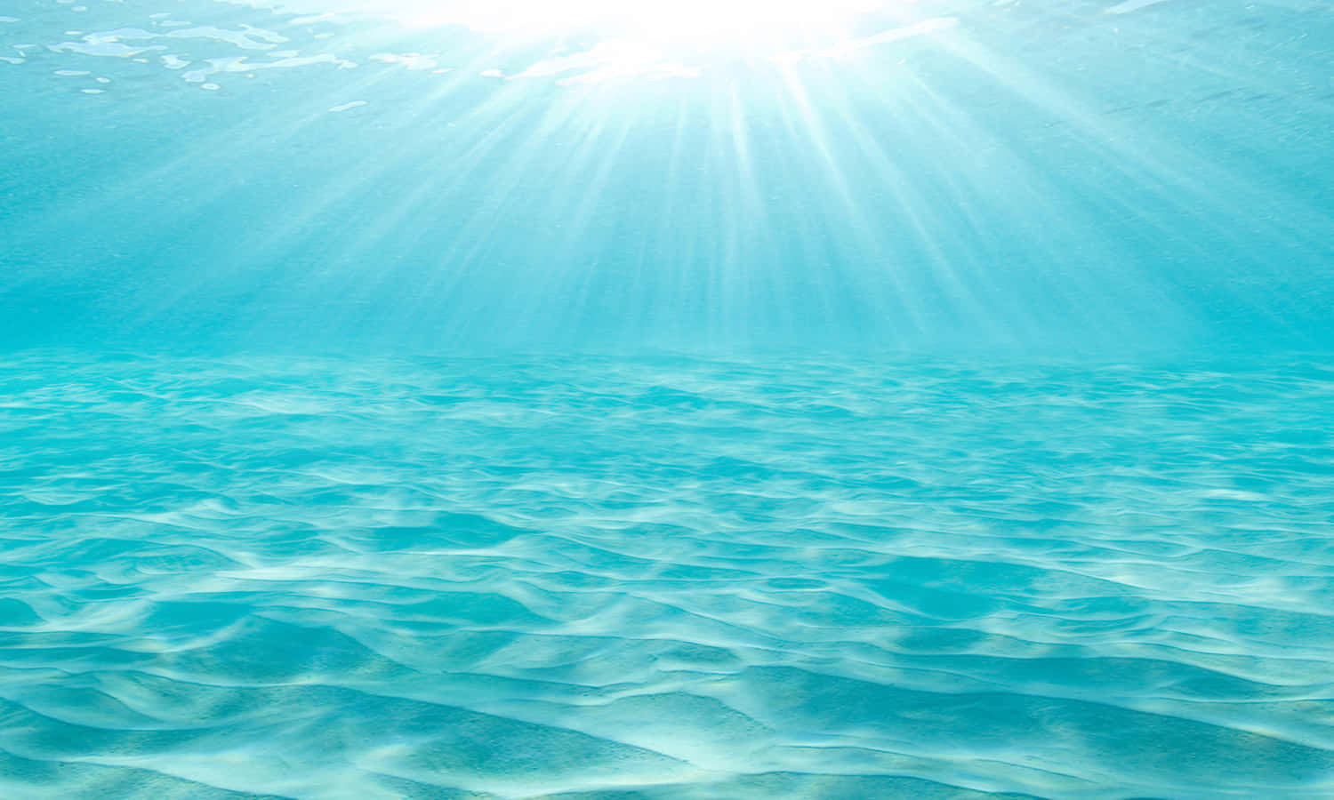 海洋 桌布 壁紙 — 陽光穿透清澈的碧綠海水，在波光粼粼的海底投射出耀眼的光芒。