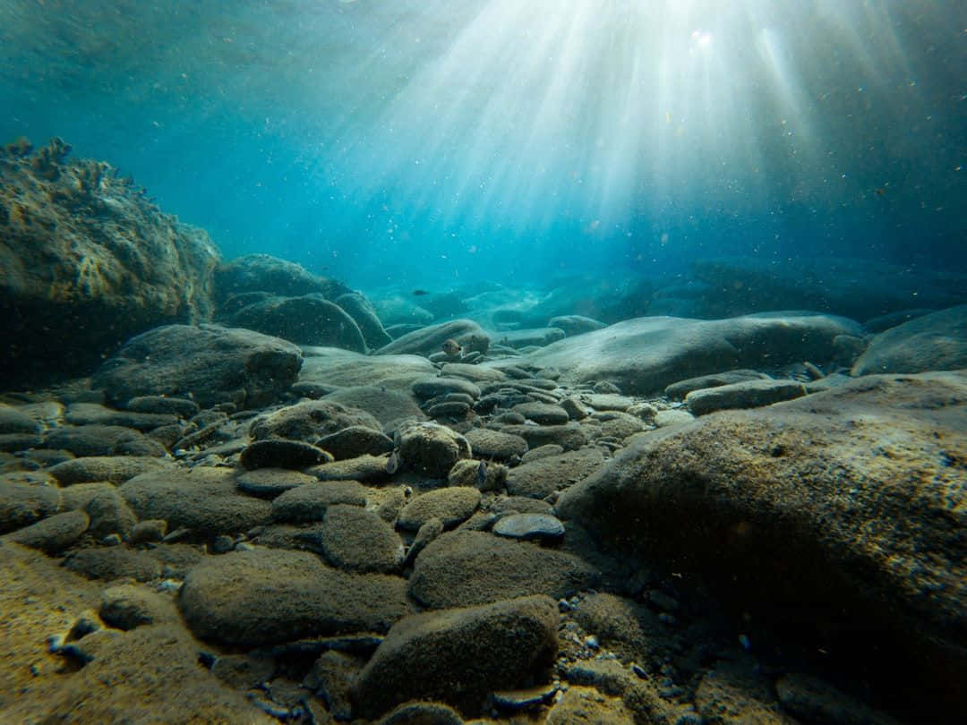Underwater Ocean 桌布 壁紙 — 陽光穿透清澈的藍色海水，照亮下方的岩石河床。
