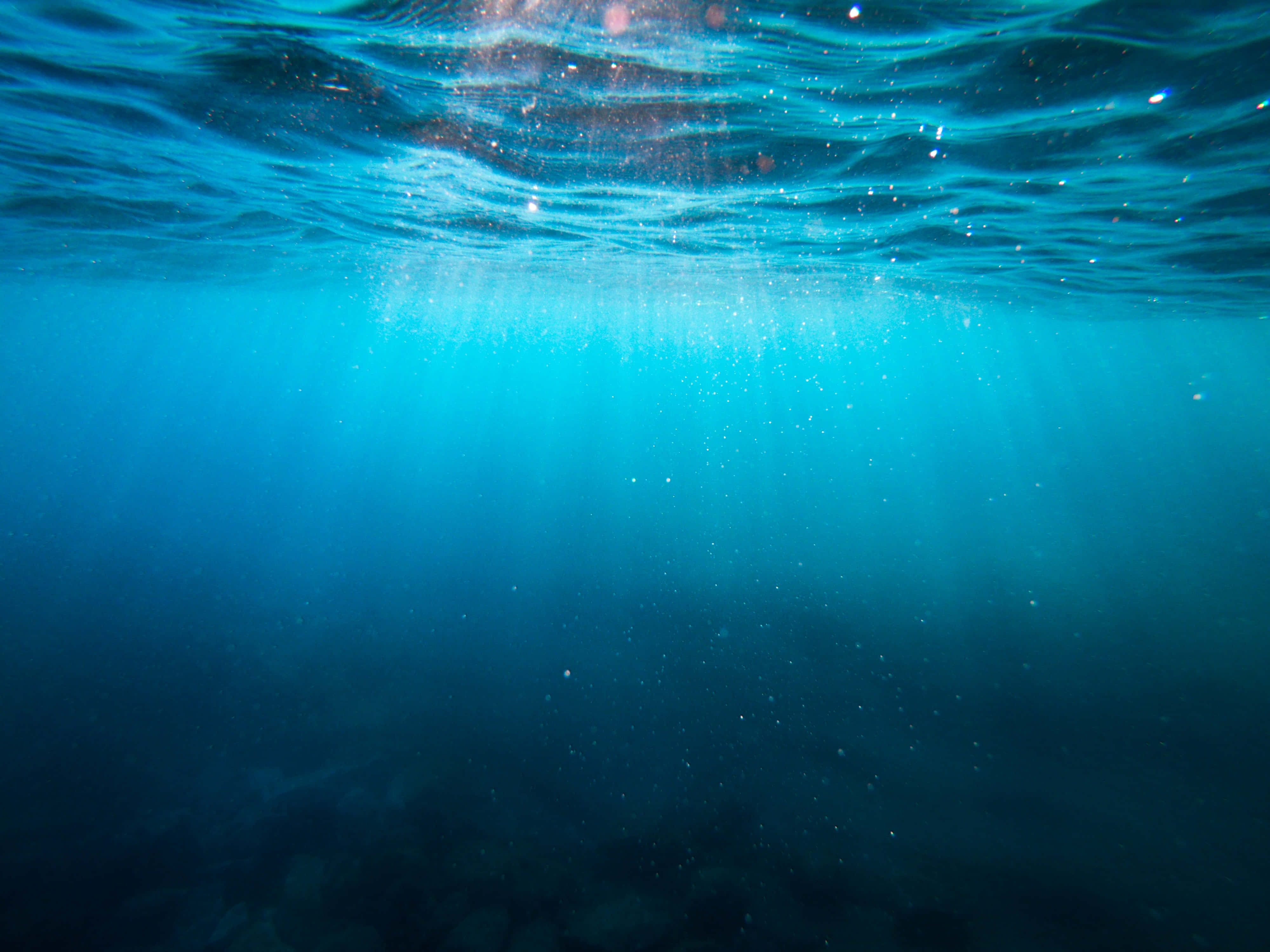 Underwater Ocean 桌布 壁紙 — 陽光穿透碧綠的海浪，照亮深藍海水中的浮游粒子。