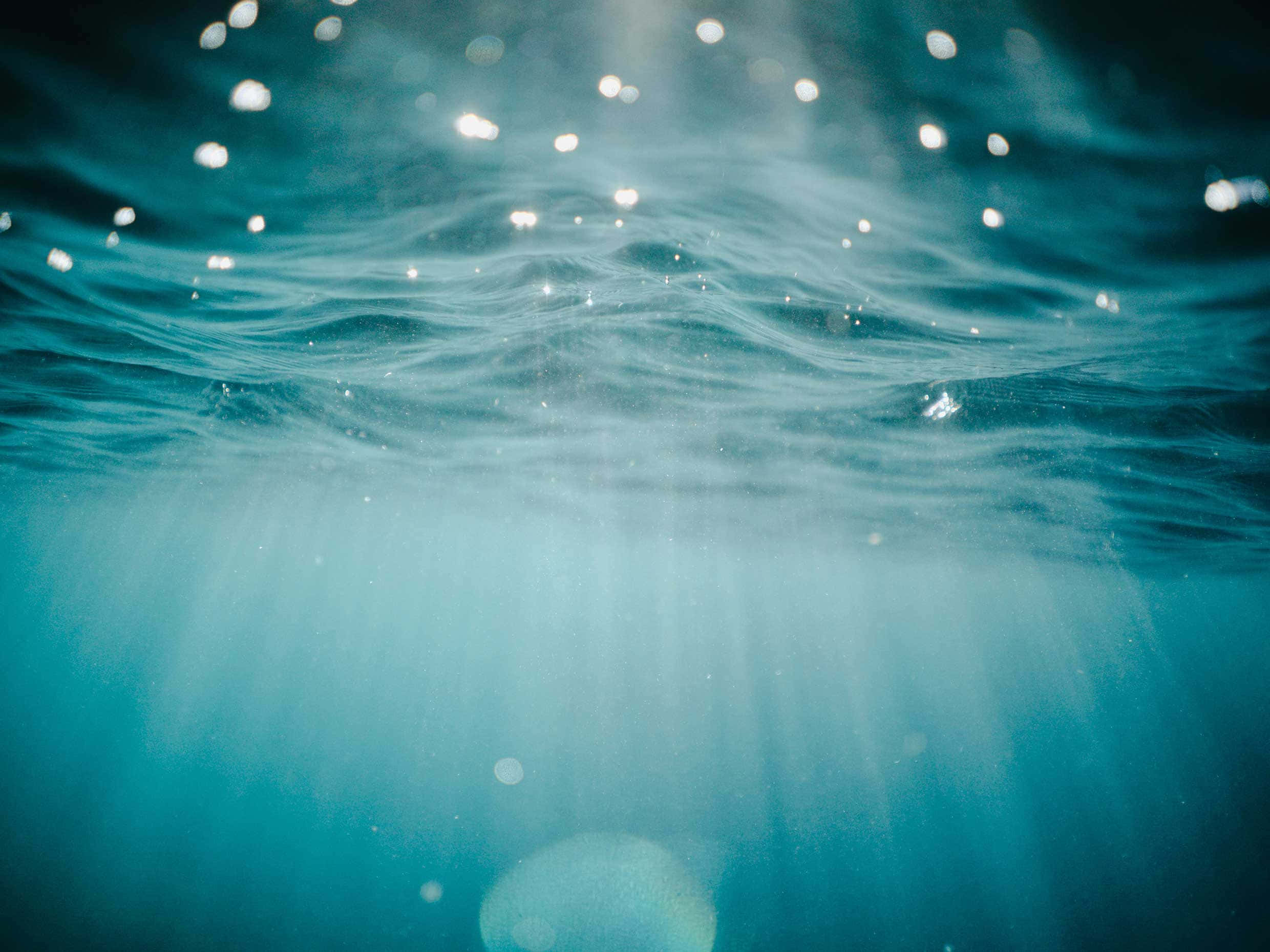 水下動畫 桌布 壁紙 — 陽光穿透碧綠的海浪，營造出閃爍的散景和空靈的水下光芒。