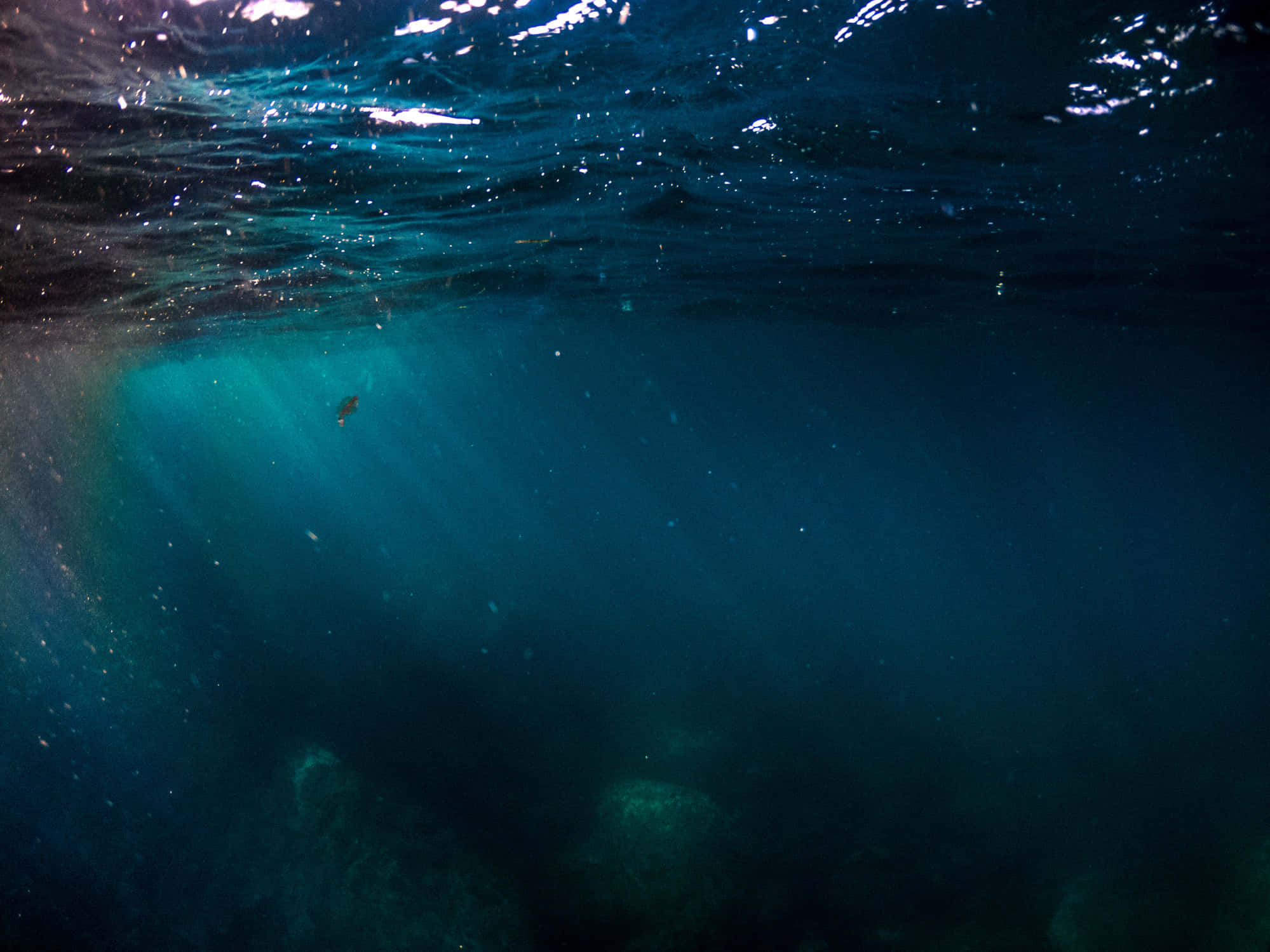 Scary Underwater 桌布 壁紙 — 陽光穿透碧綠的海面，照亮了漂浮的微粒和下方的岩石。