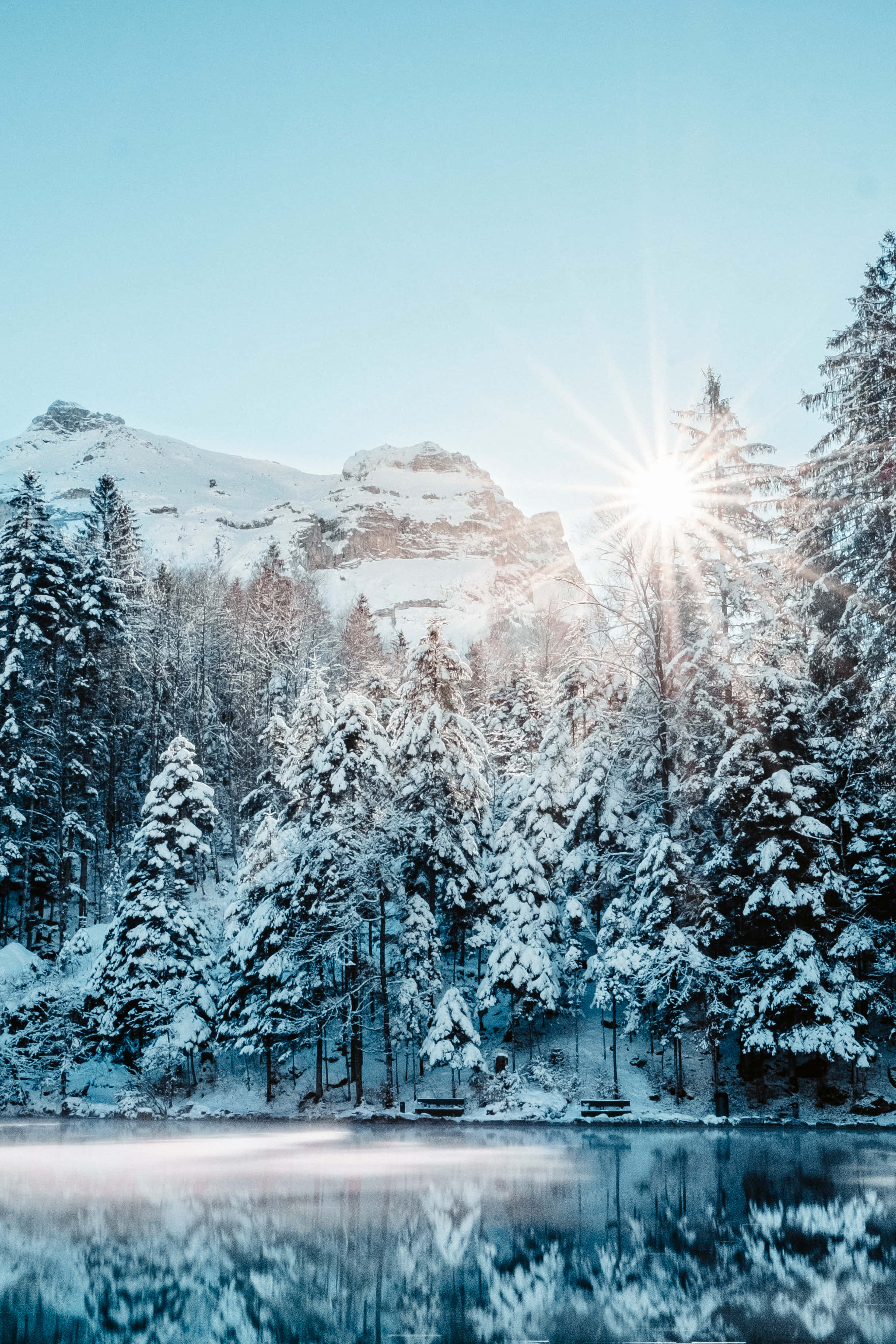 雪景 桌布 壁紙 — 陽光穿透積雪的松樹，映照在雪山下的玻璃般湖面上。