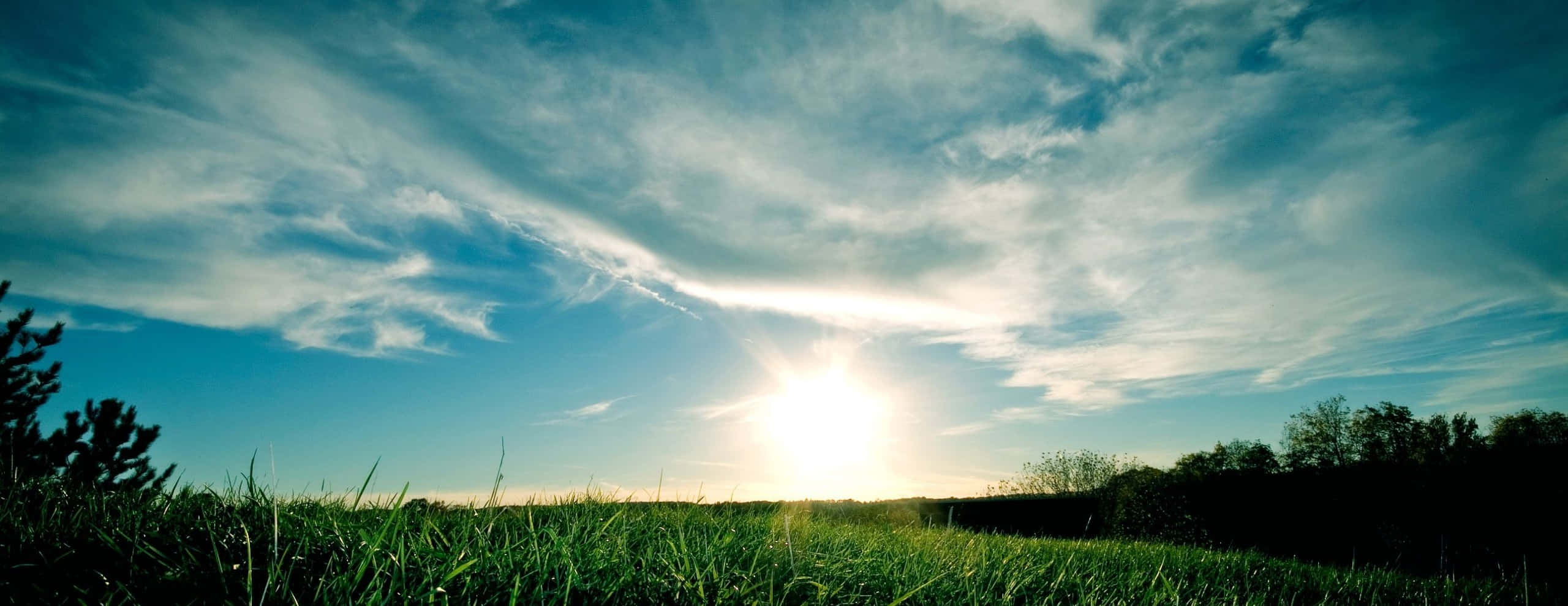 風景 桌布 壁紙 — 陽光穿透薄雲，照耀著一片生機勃勃的綠色田野，地平線上有樹木的剪影。
