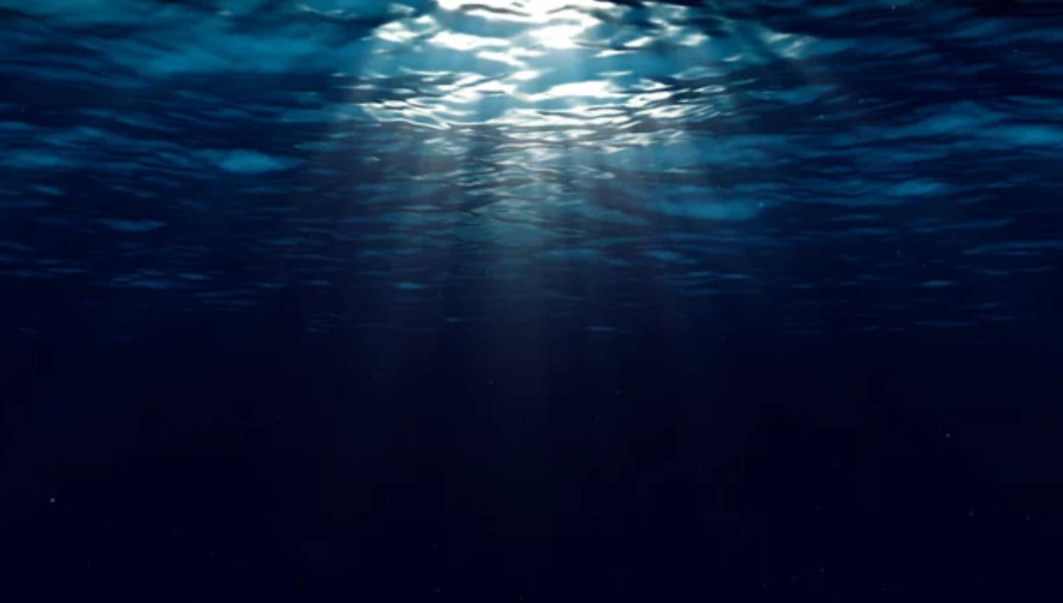 陽光穿過海面照射到深藍色的海水中。 — 水下動畫 壁紙