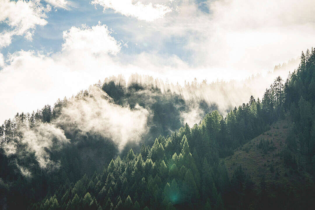 HD Forest 桌布 壁紙 — 陽光穿透雲層，在籠罩著霧氣山巒的茂密松樹林上投射出空靈的光束。