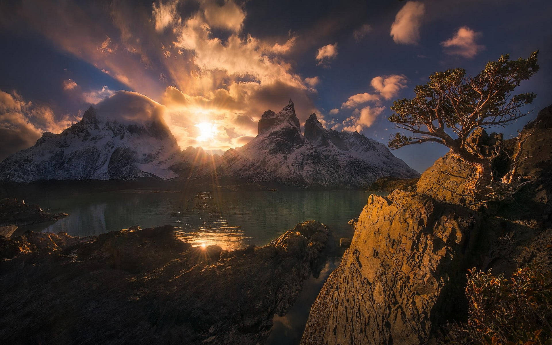 Patagonia 桌布 壁紙 — 陽光穿透雲層，照耀在白雪覆蓋的山峰上，倒映在平靜的湖面，旁邊是岩石岸邊一棵被風吹拂的樹。