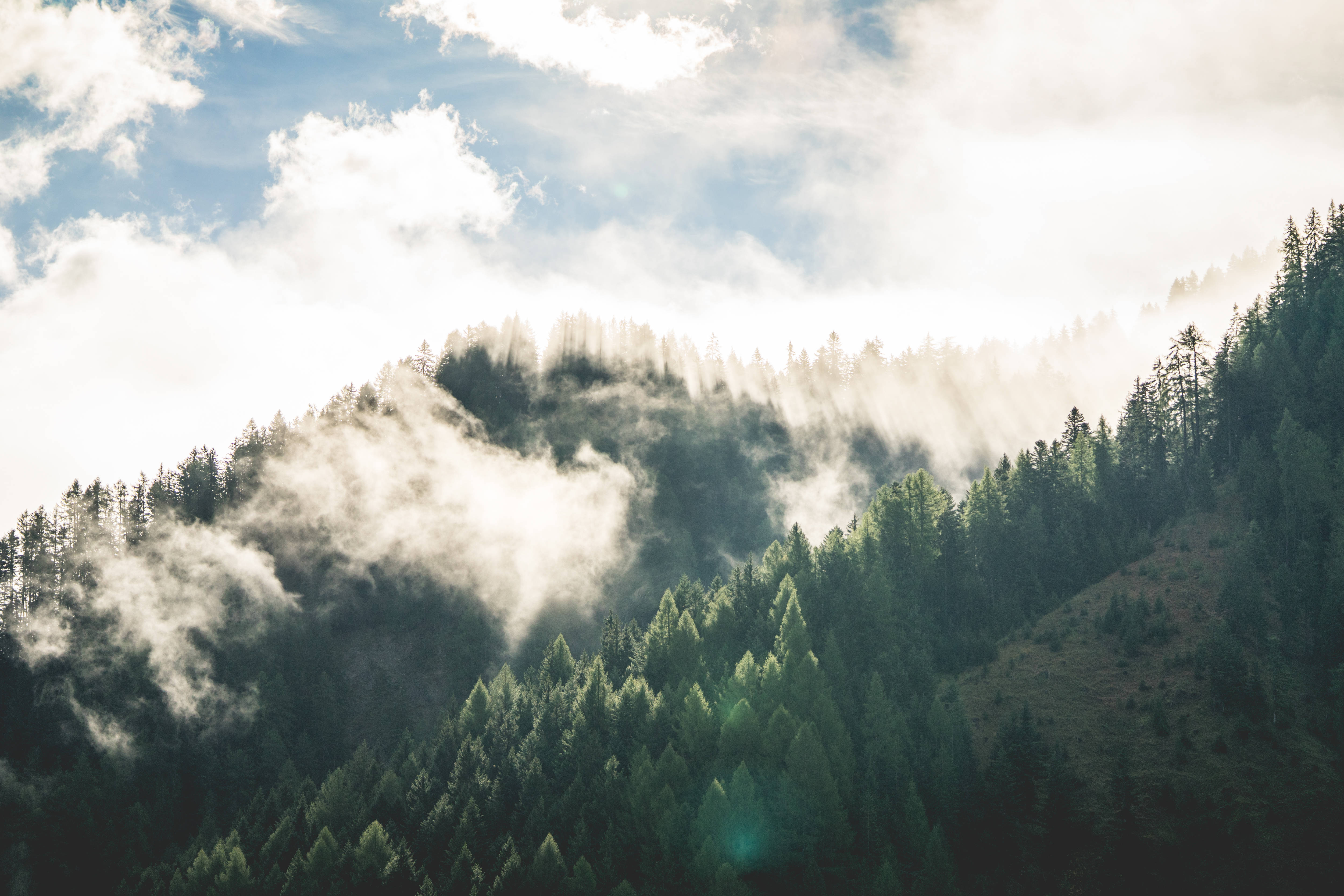 HD Scenery 桌布 壁紙 — 陽光穿透雲層，飄過覆蓋山脊的茂密松林。