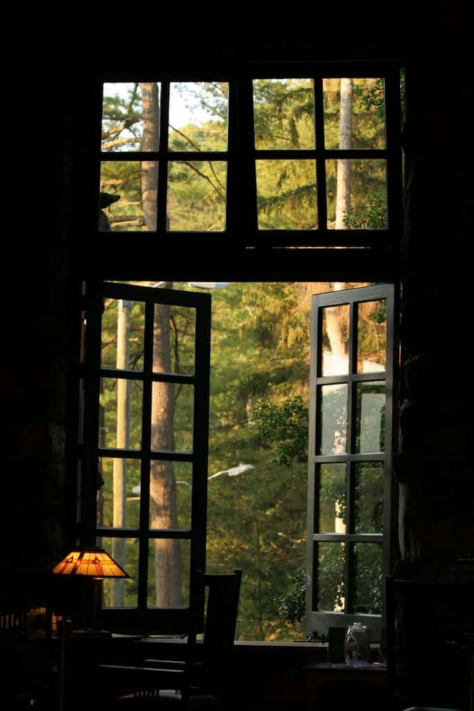 window 桌布 壁紙 — 陽光穿過一個大開的窗戶，顯露出外面茂密的綠色森林，而昏暗的室內則有一盞發光的燈和木製家具。