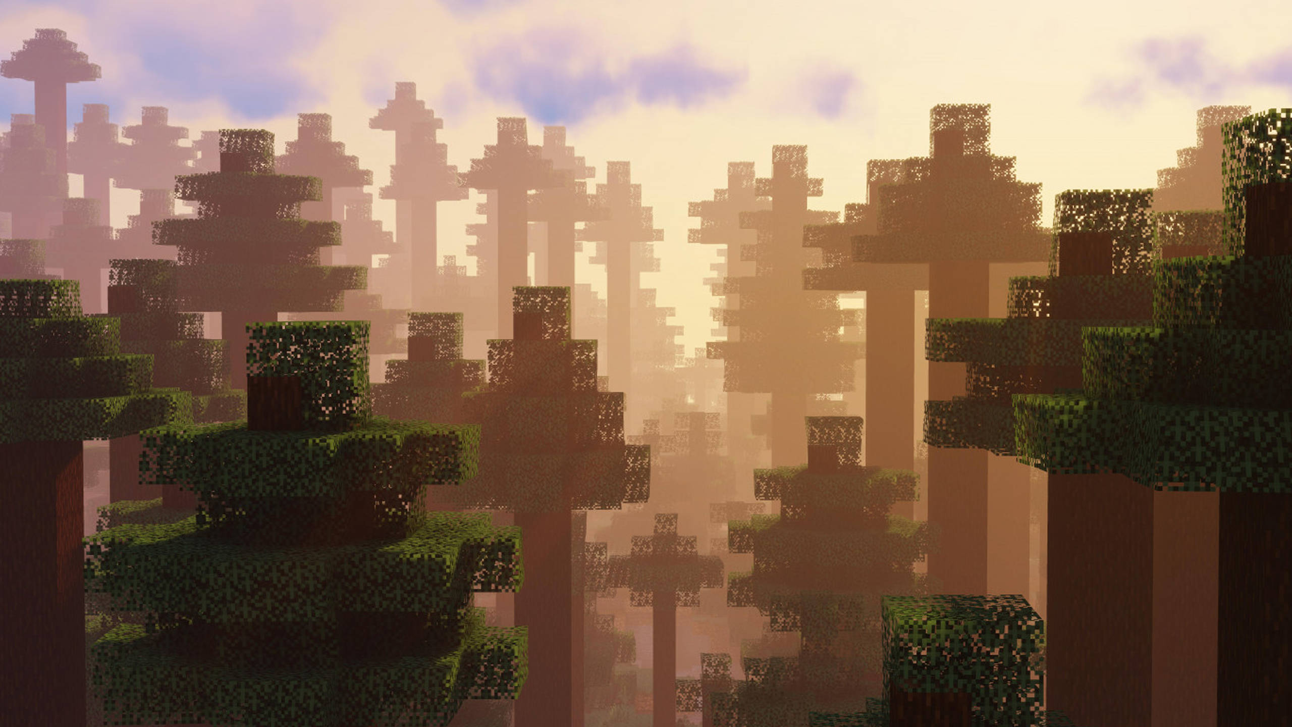 我的世界 高畫質壁紙 桌布 壁紙 — 陽光穿過像素化Minecraft世界中由方塊樹木組成的迷霧森林。