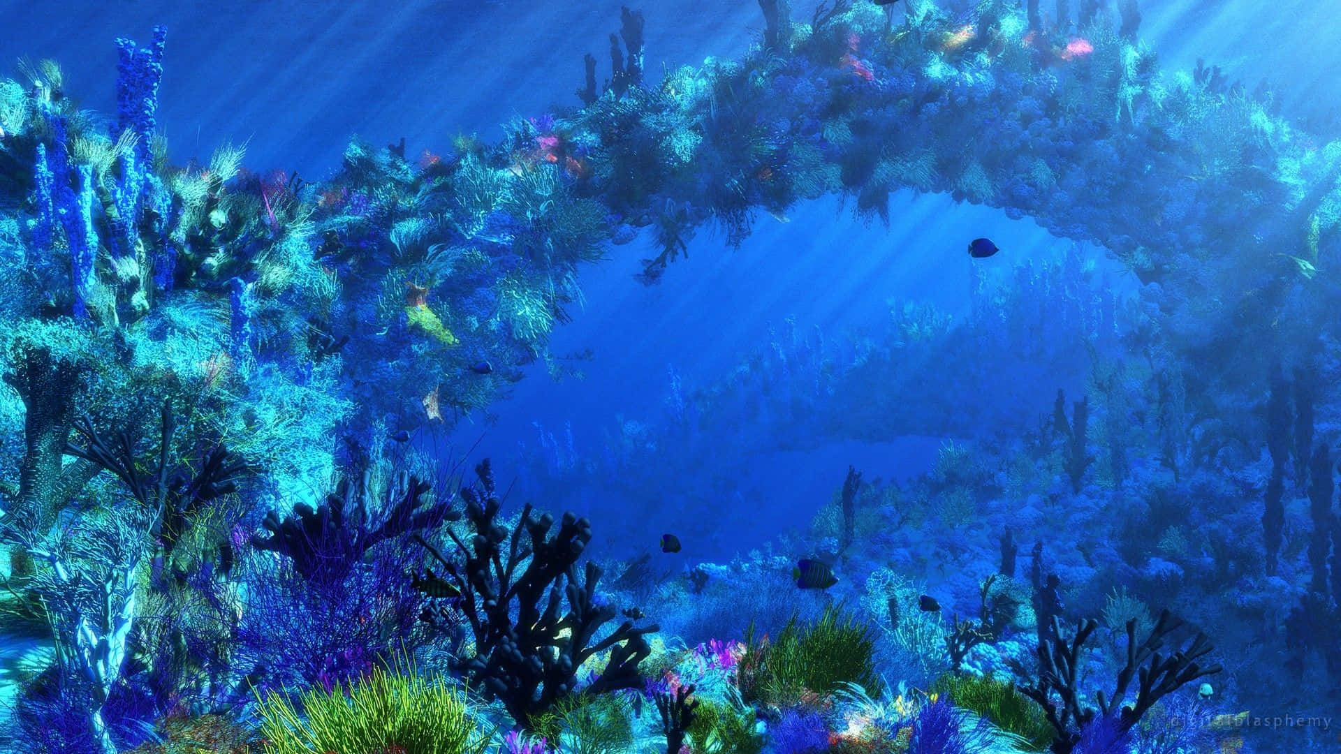 Underwater Ocean 桌布 壁紙 — 陽光穿過充滿活力的珊瑚拱門，在深藍色水下場景中，有色彩繽紛的海洋生物。