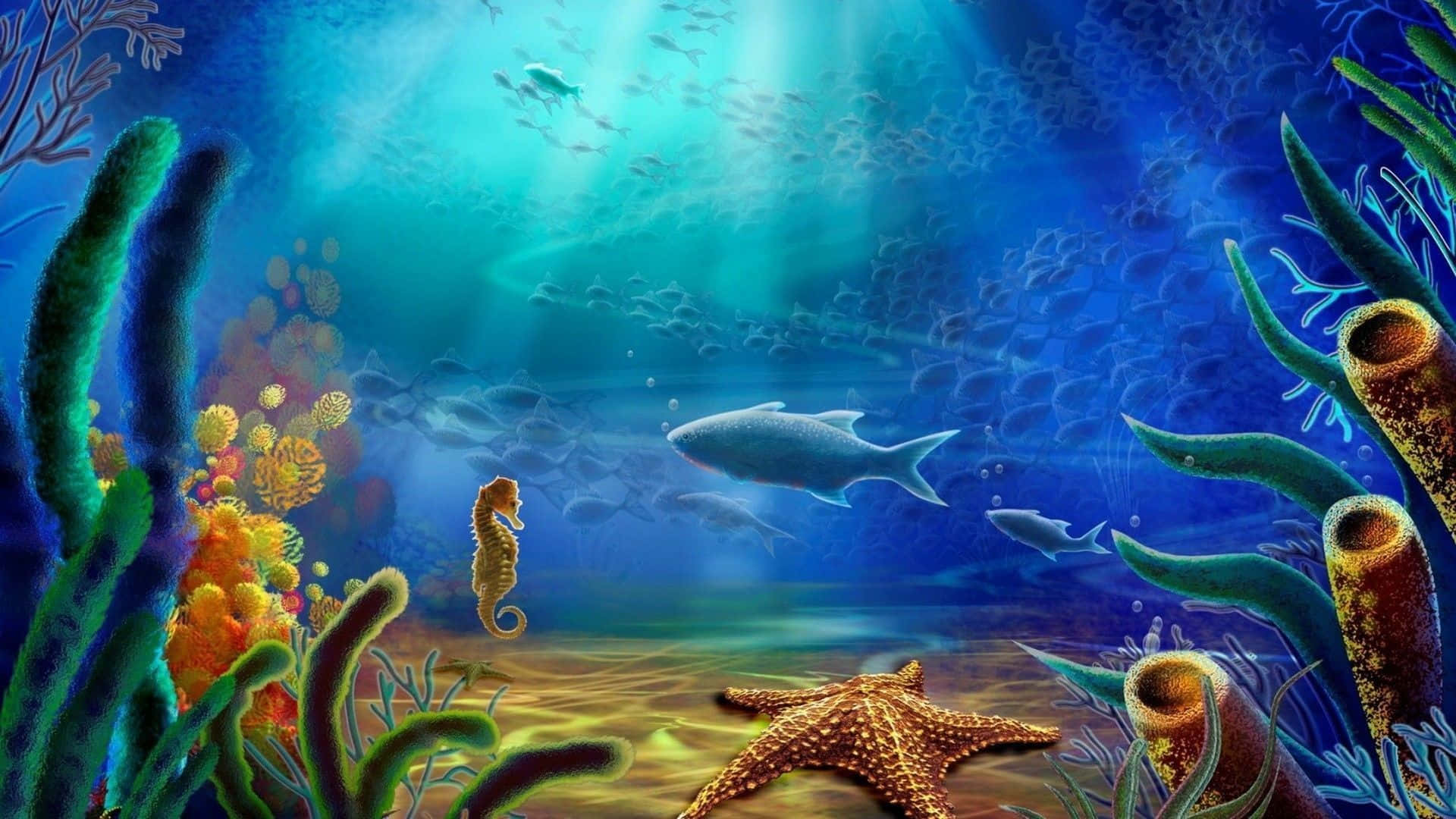 海洋 桌布 壁紙 — 陽光穿過充滿活力的珊瑚礁，海馬魚和海星在沙質海底休息。
