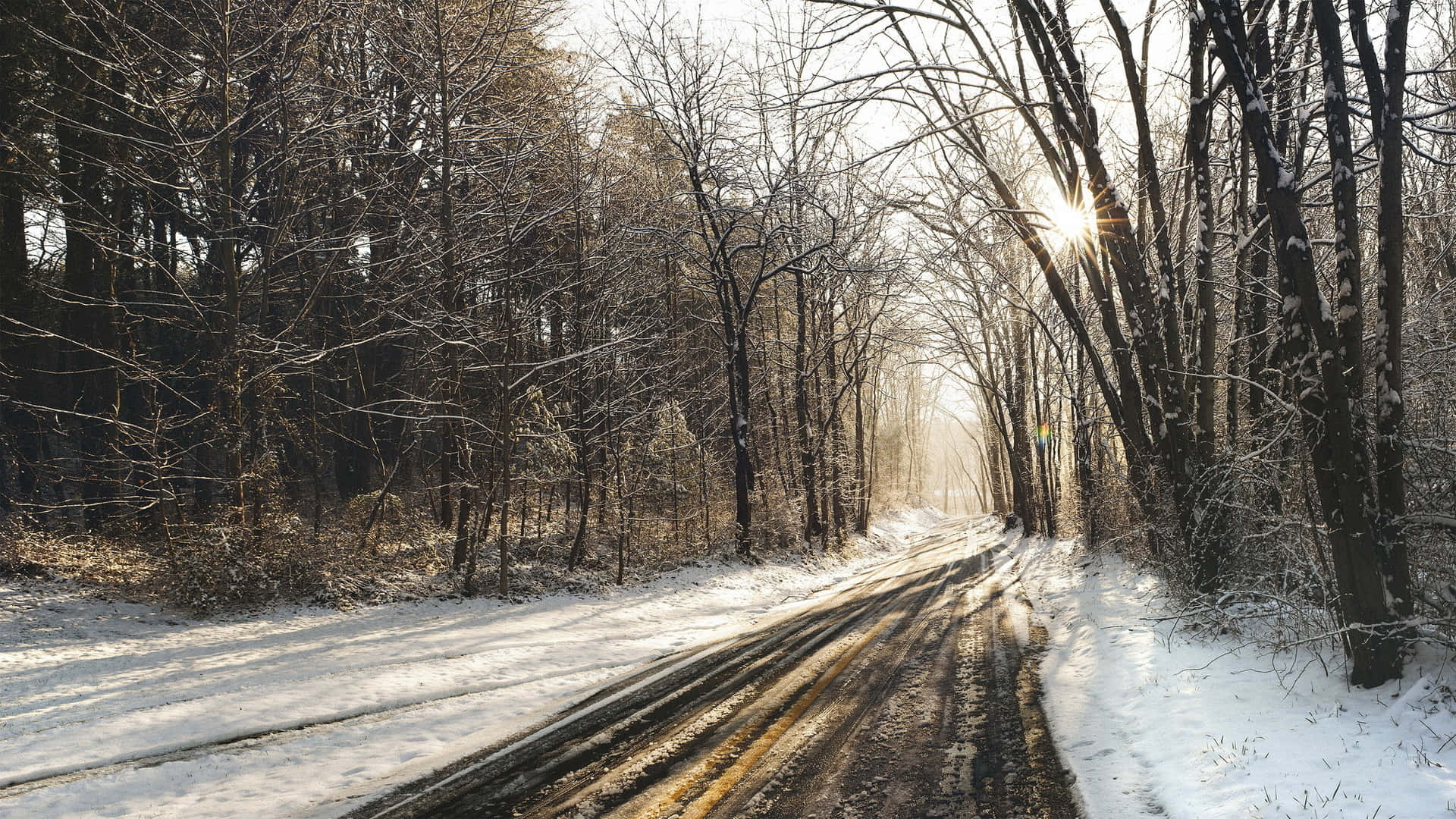 Road 桌布 壁紙 — 陽光穿過光禿禿的冬季樹木，在灑滿白雪的森林小徑上投下長長的影子。