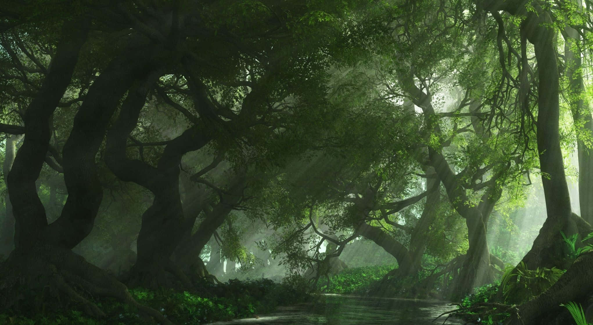 Anime Forest 桌布 壁紙 — 陽光穿過古老多節的樹木，在霧氣瀰漫的森林地面上投下空靈的光束。