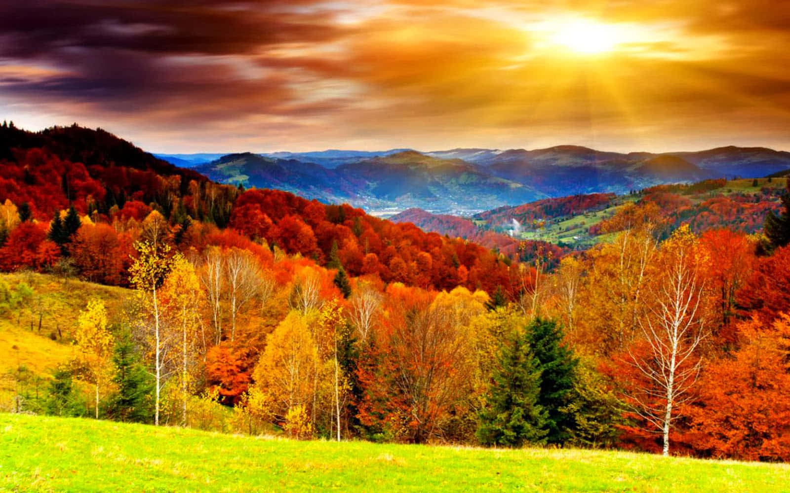 風景動畫 桌布 壁紙 — 陽光穿過戲劇性的雲層，灑落在鋪滿火紅秋葉的起伏山丘上。