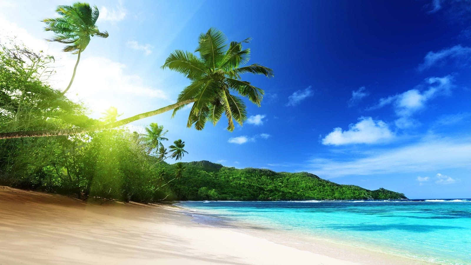 島嶼 桌布 壁紙 — 陽光穿過搖曳的棕櫚樹，灑在純淨的白色沙灘上，伴隨著碧綠的海水和茂密的綠色山丘，天空明亮湛藍。