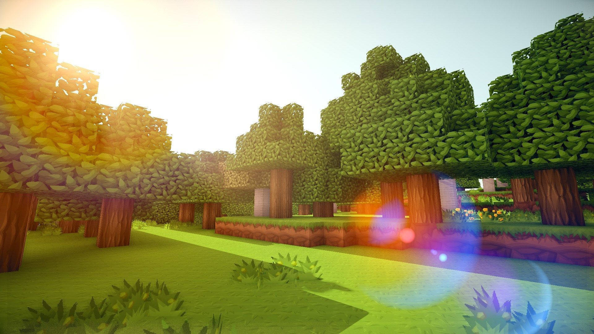 Minecraft Aesthetic 桌布 壁紙 — 陽光穿過方塊狀的綠色樹木，照射在充滿活力的Minecraft森林中，帶有鏡頭光暈和草地地形。