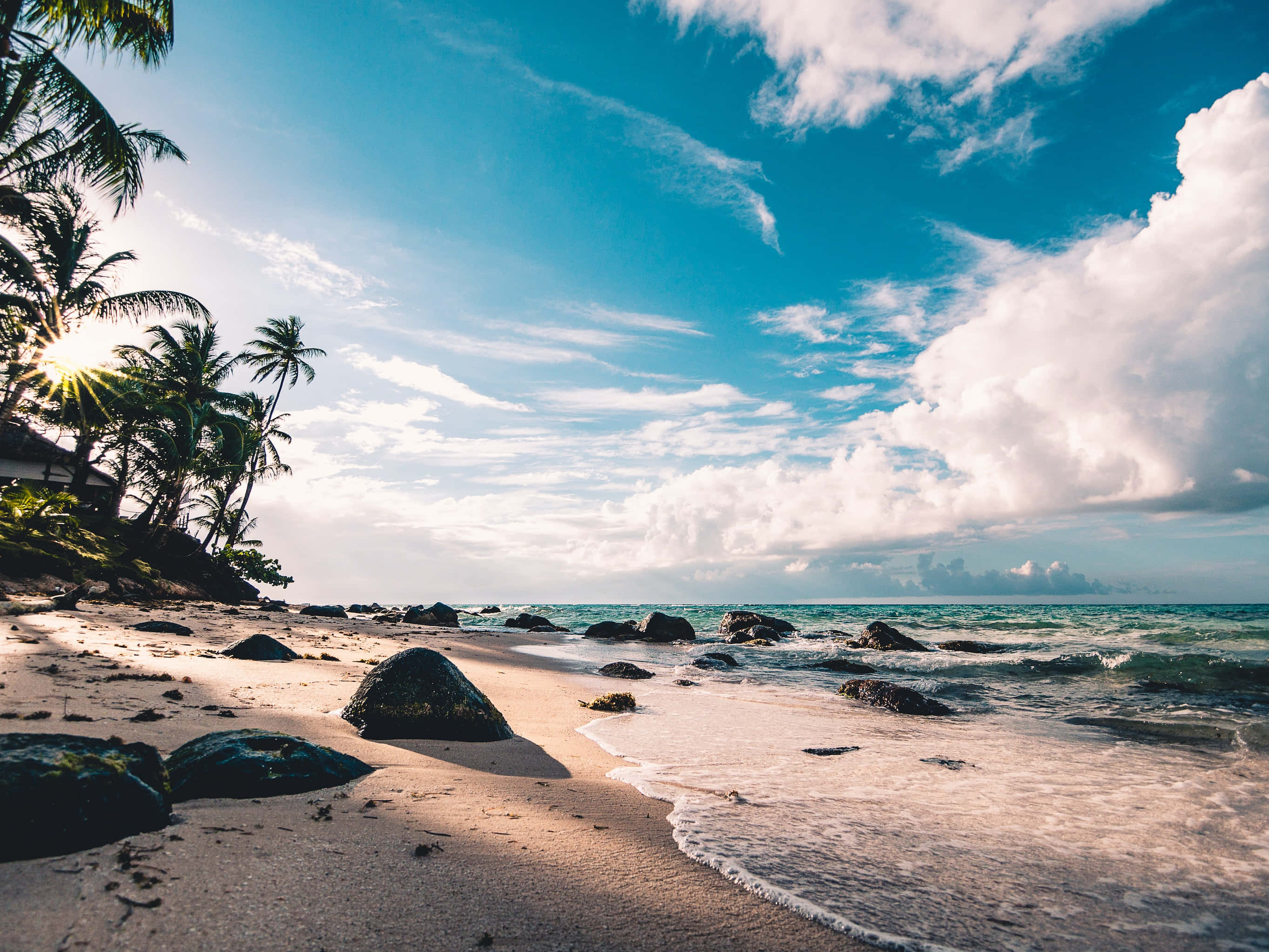 Beach Photography 桌布 壁紙 — 陽光穿過棕櫚樹，在沙灘上投下陰影，沙灘上散落著岩石，溫柔的海浪拍打著。