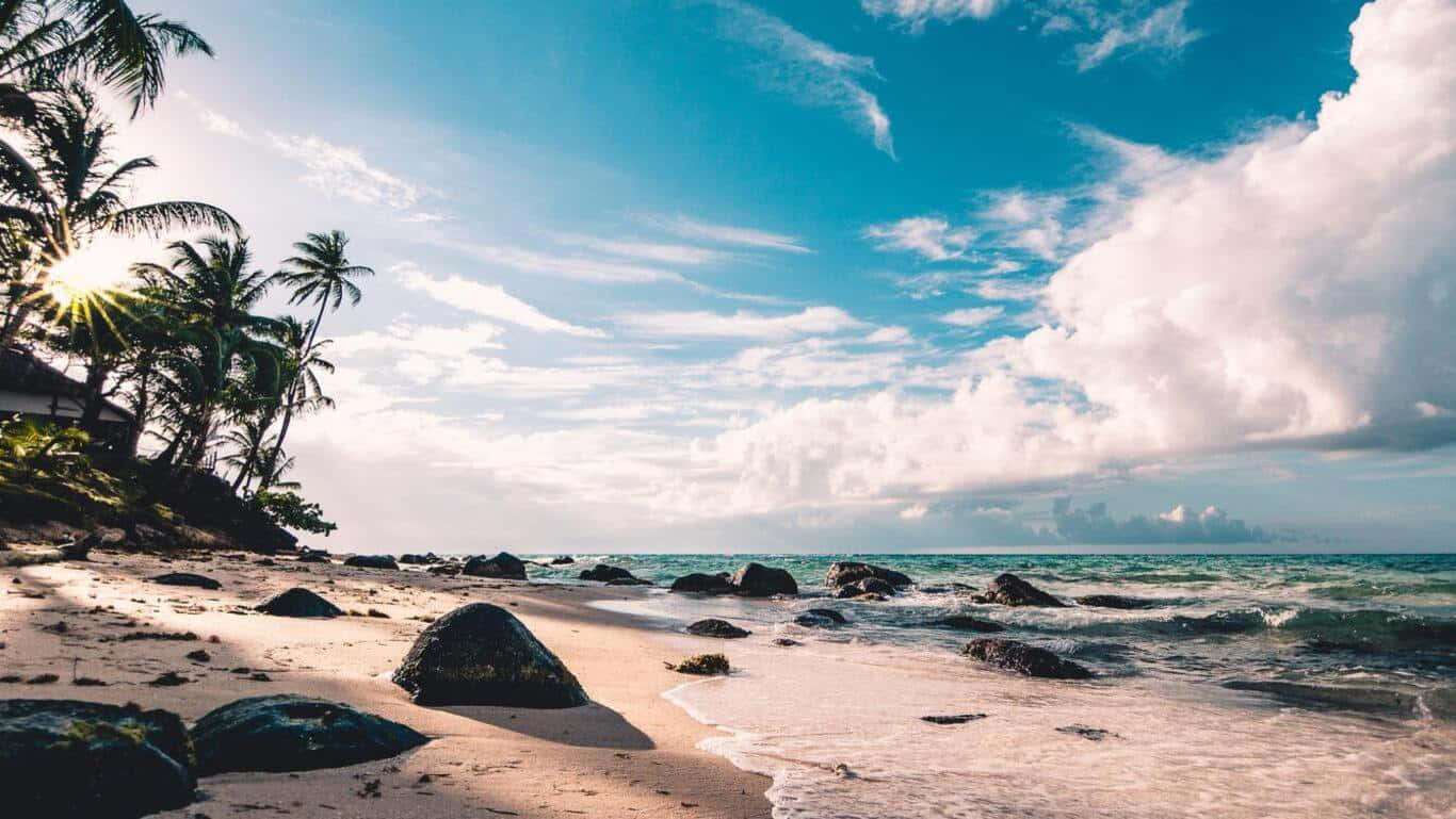 熱帶海灘，棕櫚樹和岩石在日落時分，藍天白雲。 — 夏威夷 壁紙