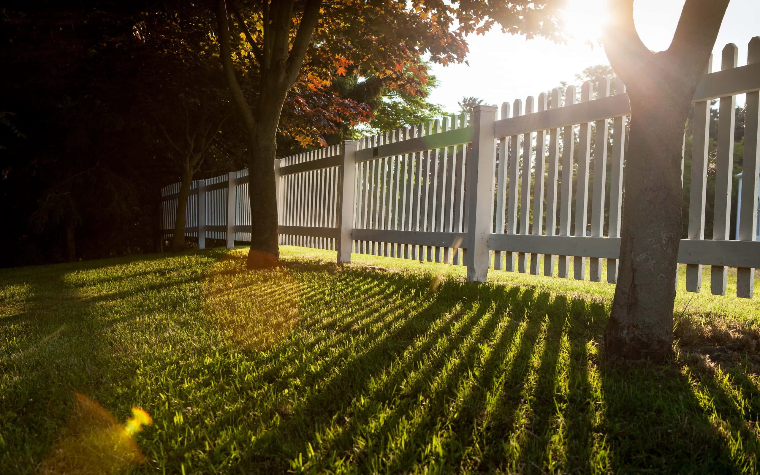 fence 桌布 壁紙 — 陽光穿過樹木，在白色尖樁籬笆旁邊的翠綠草坪上投下長長的影子。