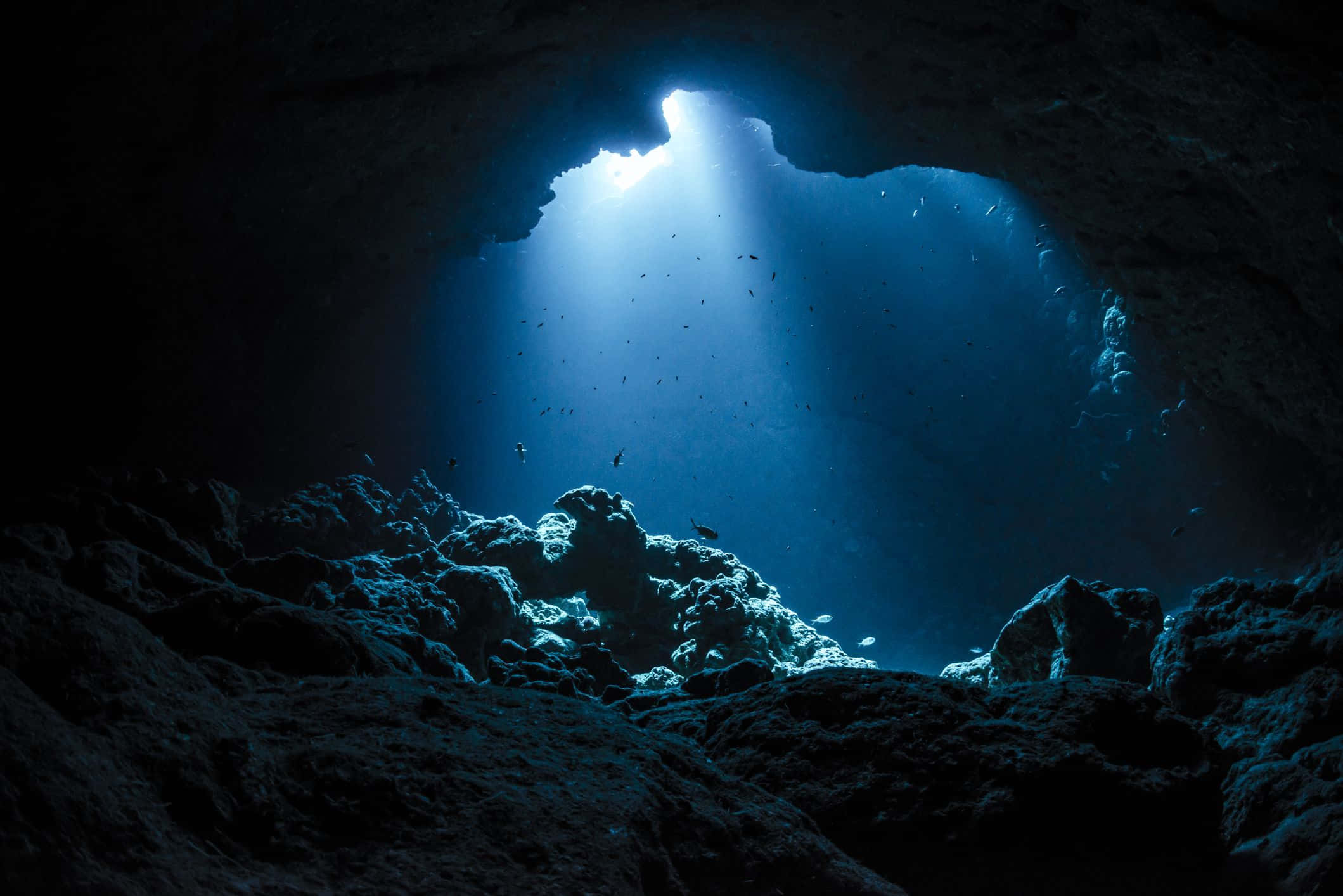 Underwater Ocean 桌布 壁紙 — 陽光穿過洞穴狀的水下開口，照亮下方懸浮的微粒和岩石結構。