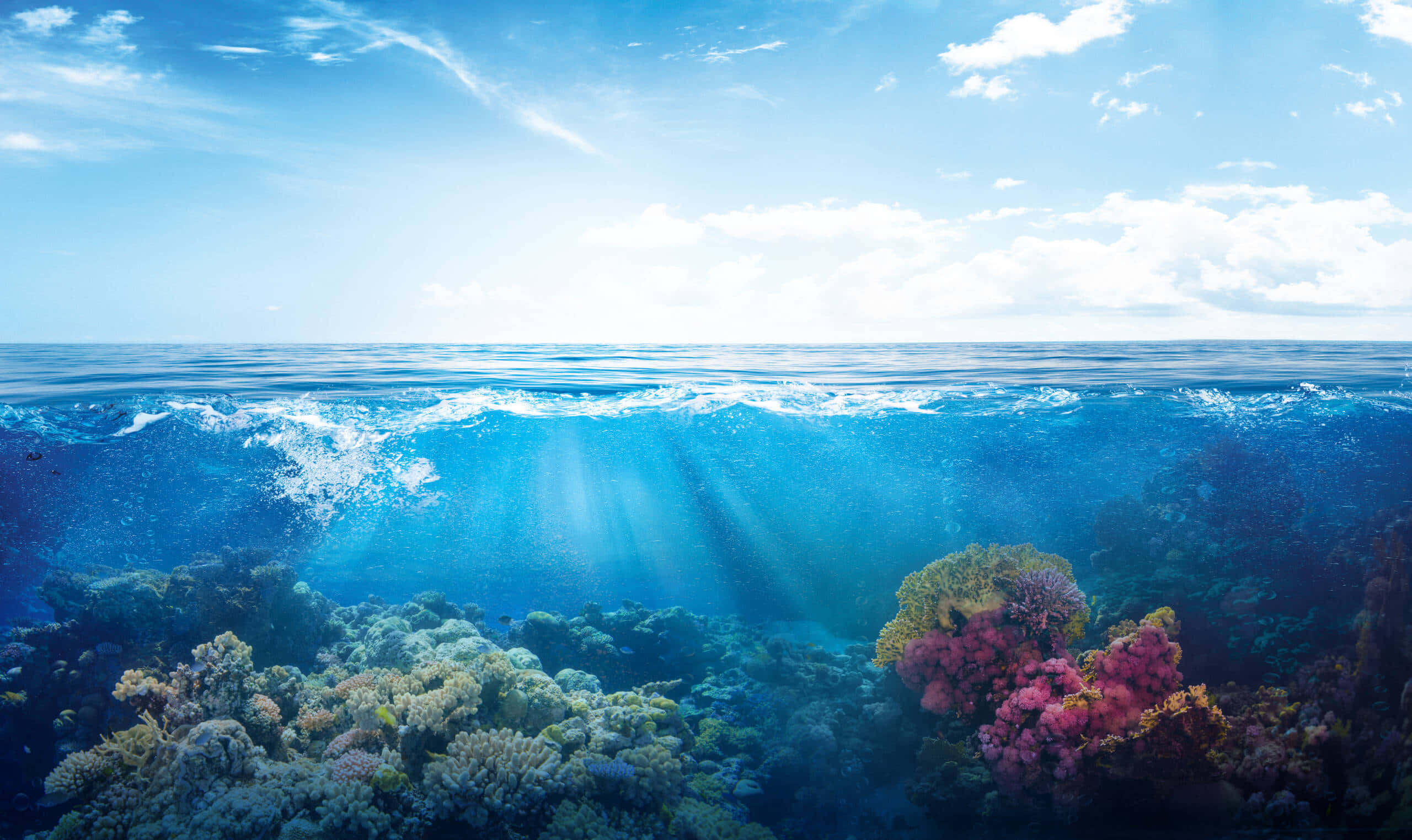 Coral Reef 桌布 壁紙 — 陽光穿過海浪，照亮了湛藍天空下充滿活力的珊瑚礁。