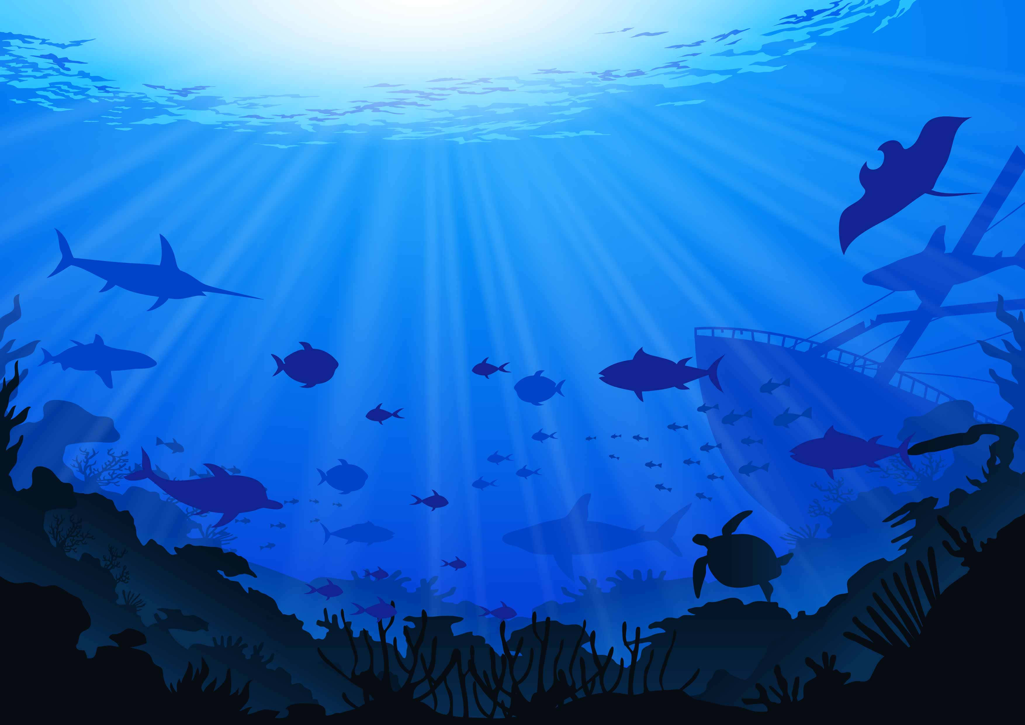 海洋 桌布 壁紙 — 陽光穿過海面，照亮鯊魚、魚類和珊瑚礁附近沉船的剪影。