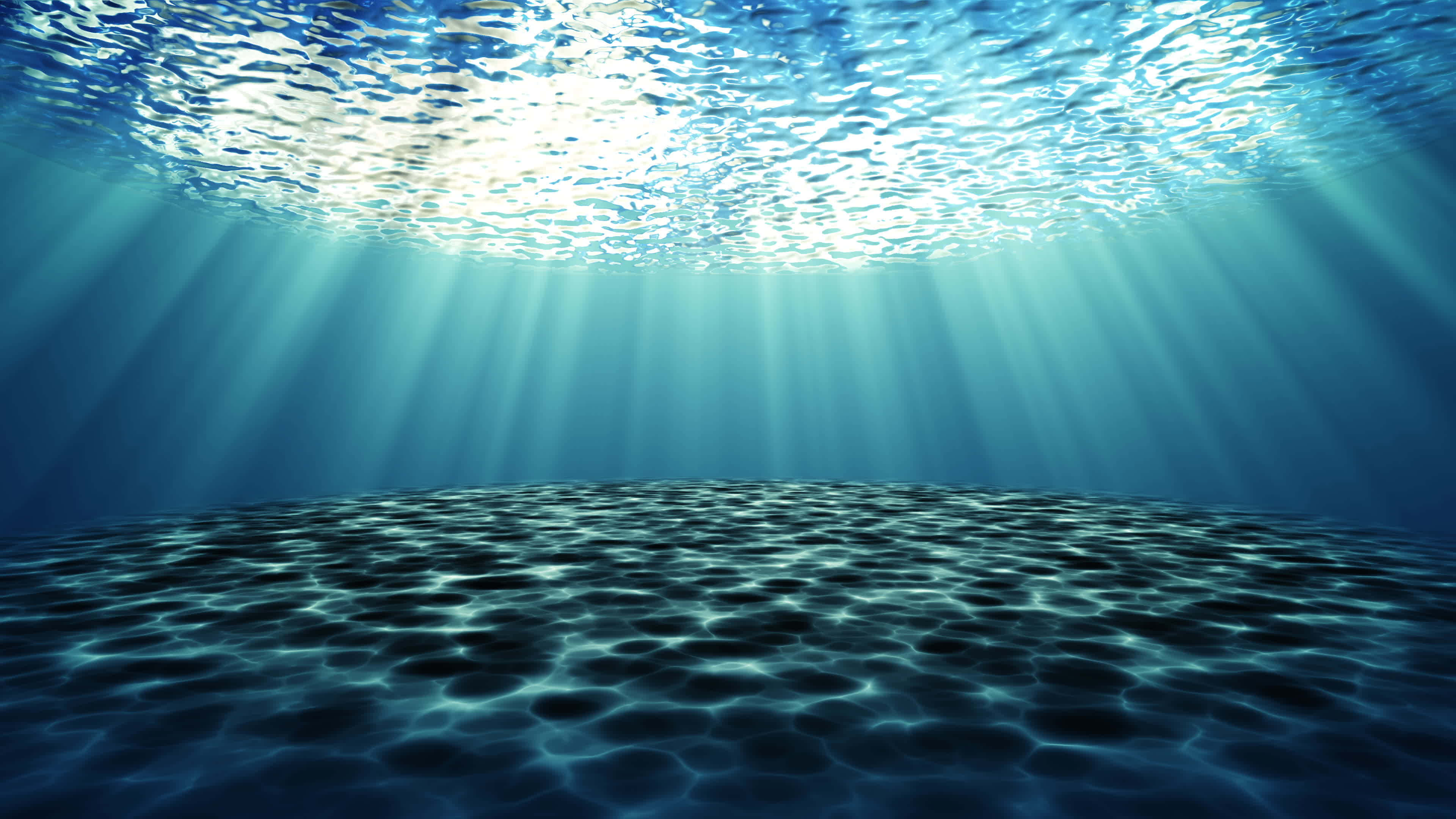 海洋 桌布 壁紙 — 陽光穿過清澈的海水，在沙質海床上投射出閃爍的圖案。