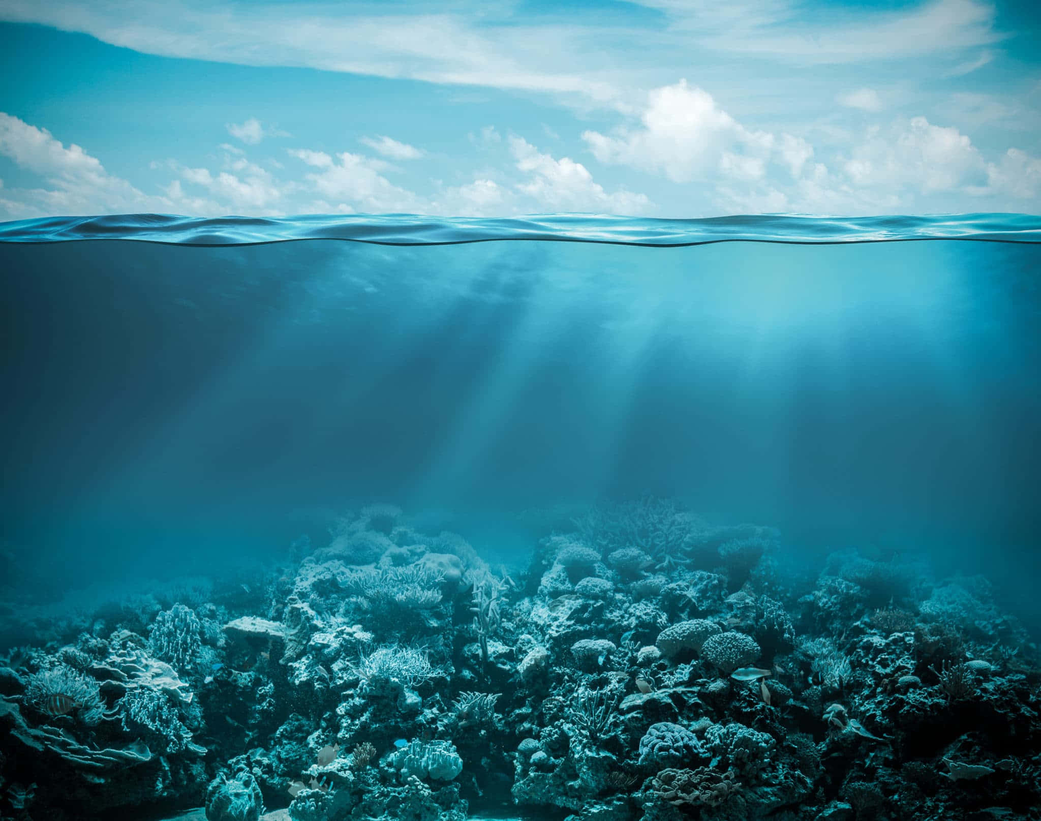 Underwater Ocean 桌布 壁紙 — 陽光穿過清澈的海水，照亮下方充滿活力的珊瑚礁，上方是寧靜的天空。