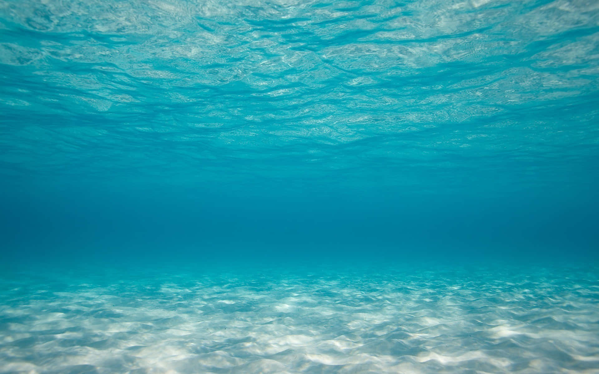 海洋 桌布 壁紙 — 陽光穿過清澈的碧綠海水，在沙質海底投射出閃爍的圖案。