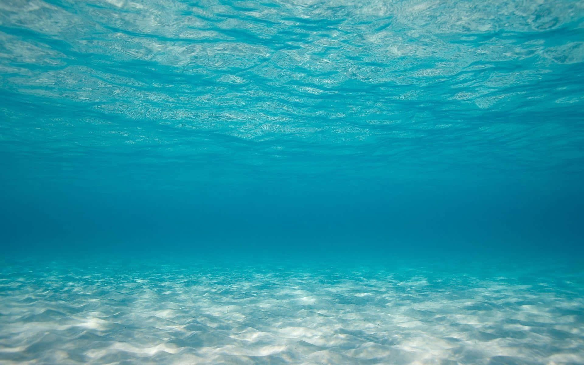 海洋 桌布 壁紙 — 陽光穿過清澈的碧綠海水，照亮了沙質海底，上方有輕柔的漣漪。