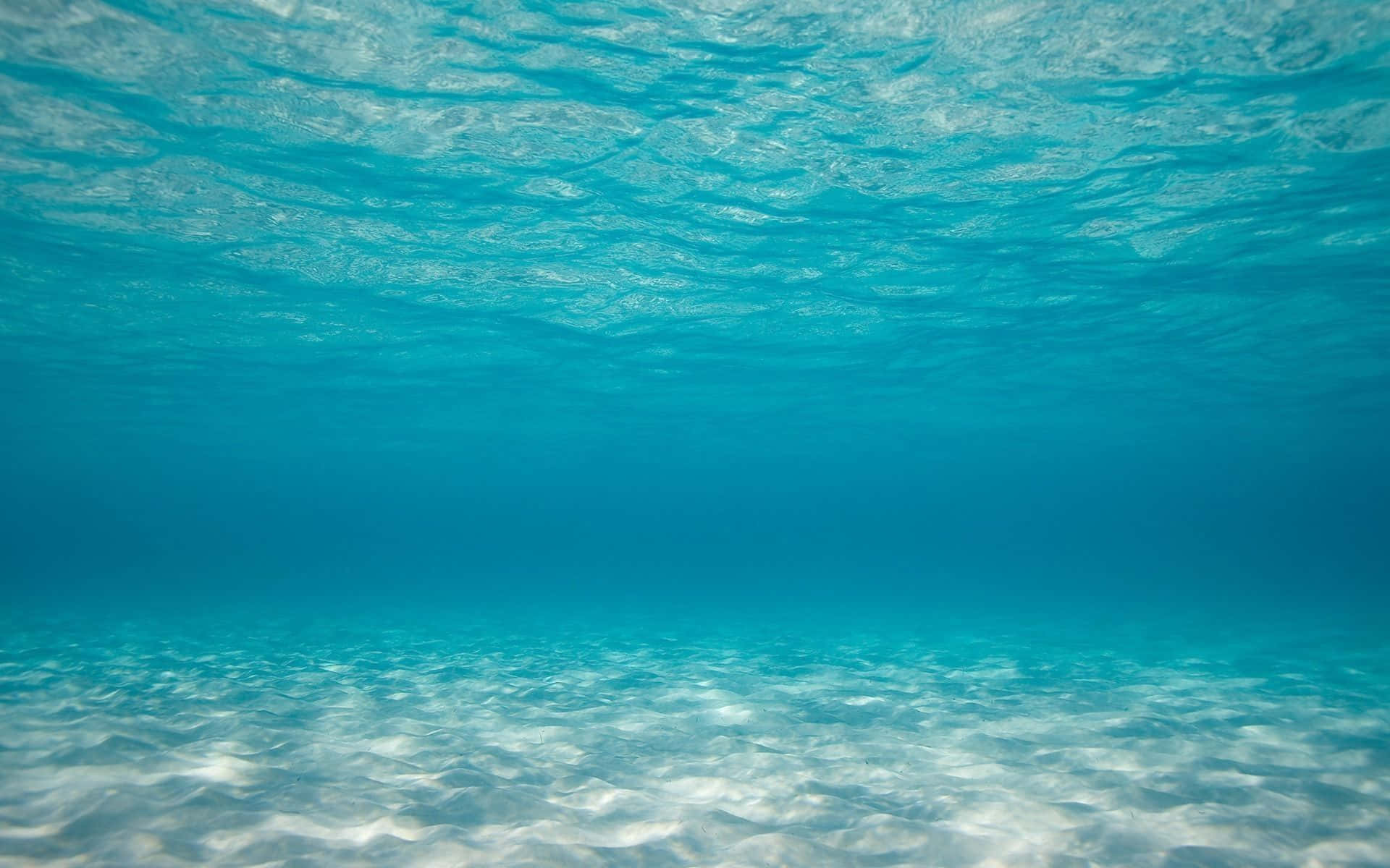 海洋 桌布 壁紙 — 陽光穿過清澈的碧綠色海水，照射到沙質海床上方，水面有輕柔的漣漪。