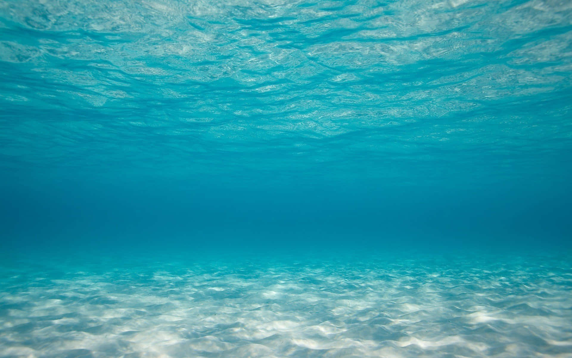 沙質海底的水下景觀，陽光穿過清澈的藍色海水。 — 水下動畫 壁紙