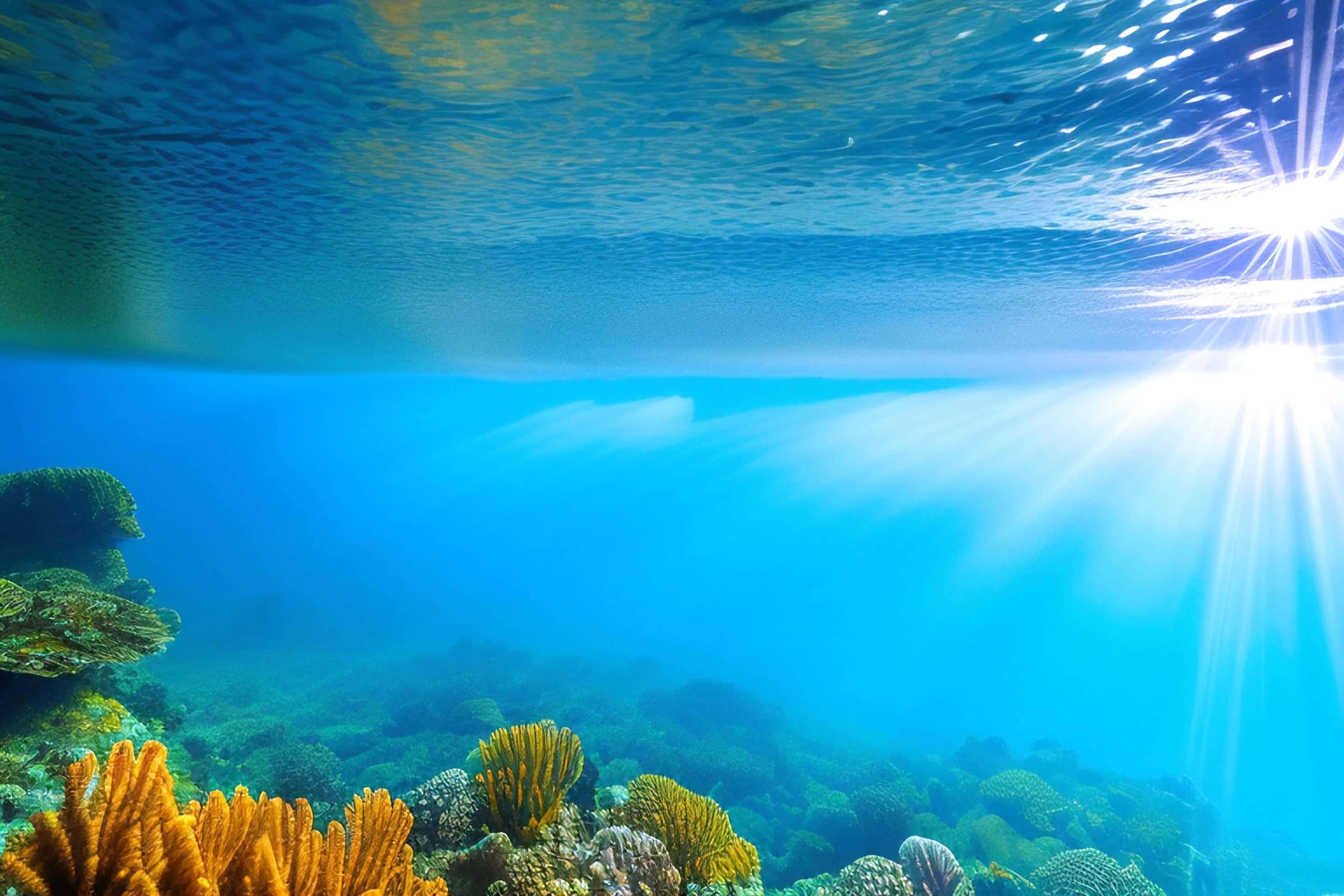 Coral Reef 桌布 壁紙 — 陽光穿過清澈的藍色海水，照亮下方充滿活力的橙色和綠色珊瑚礁。