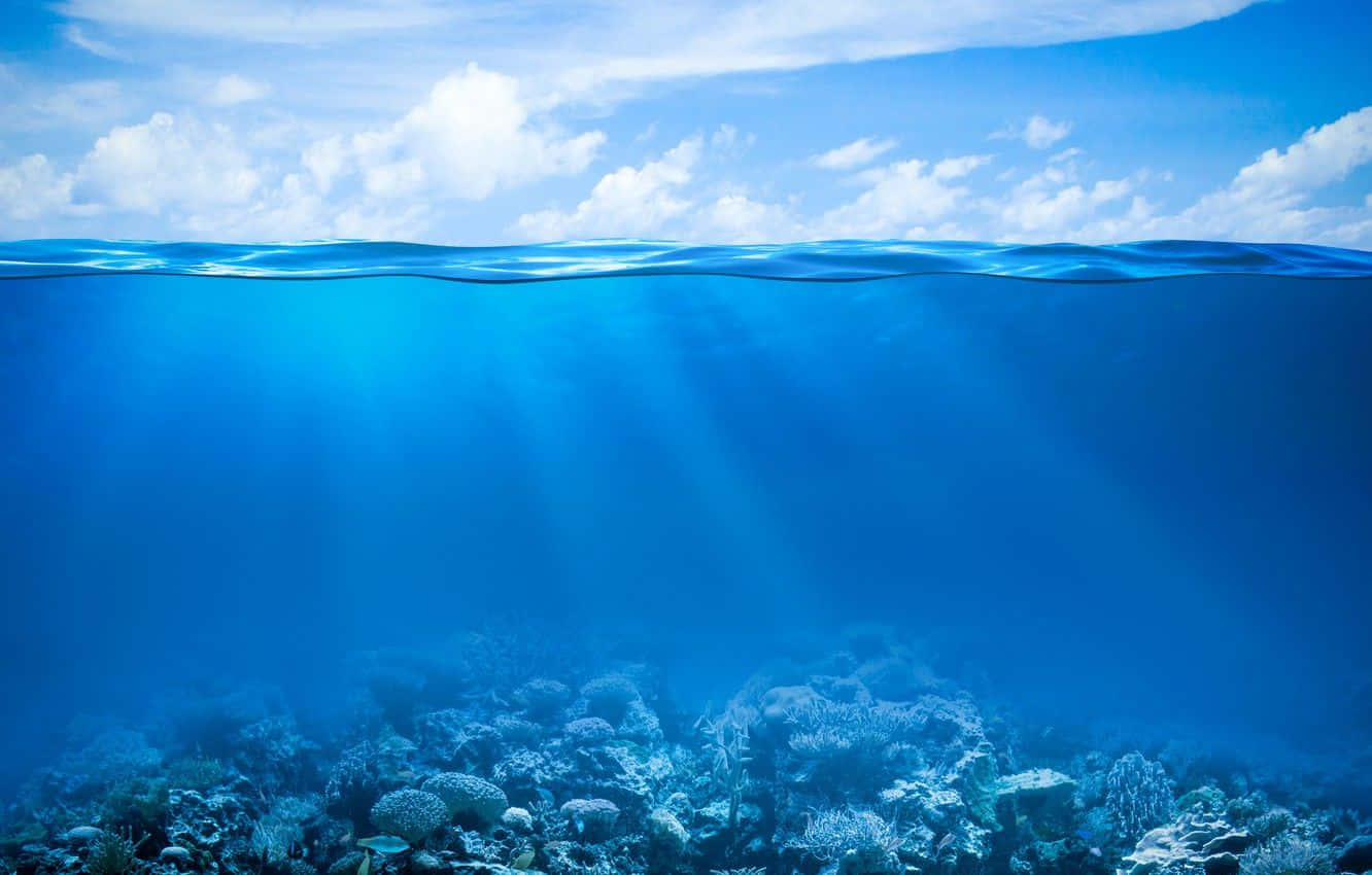 Underwater Ocean 桌布 壁紙 — 陽光穿過清澈的藍色海水，照亮下方充滿活力的珊瑚礁，上方可見天空和雲朵。
