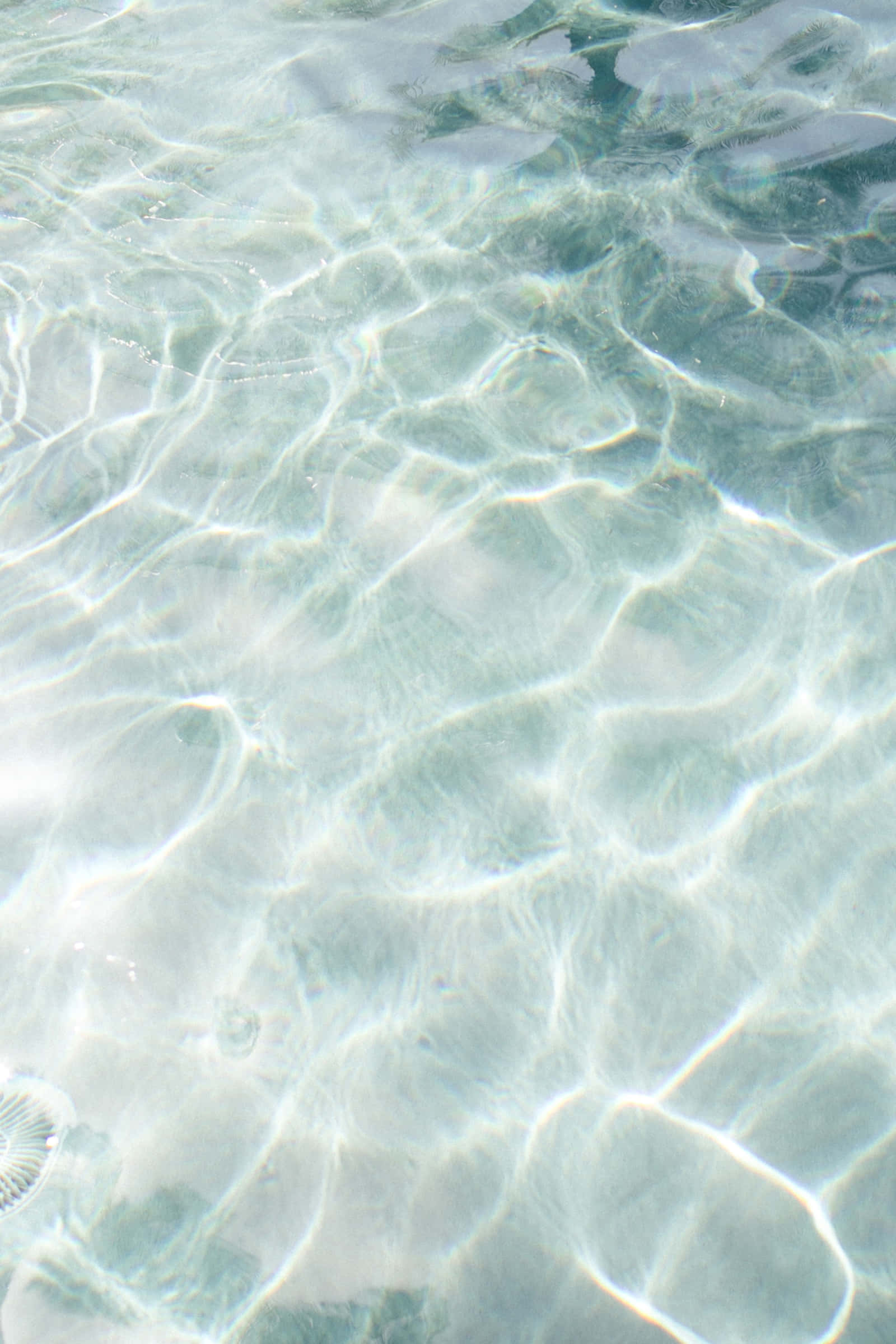 Ocean Water 桌布 壁紙 — 陽光穿過漣漪清澈的水面舞動，在沙底上投射出閃爍的圖案。