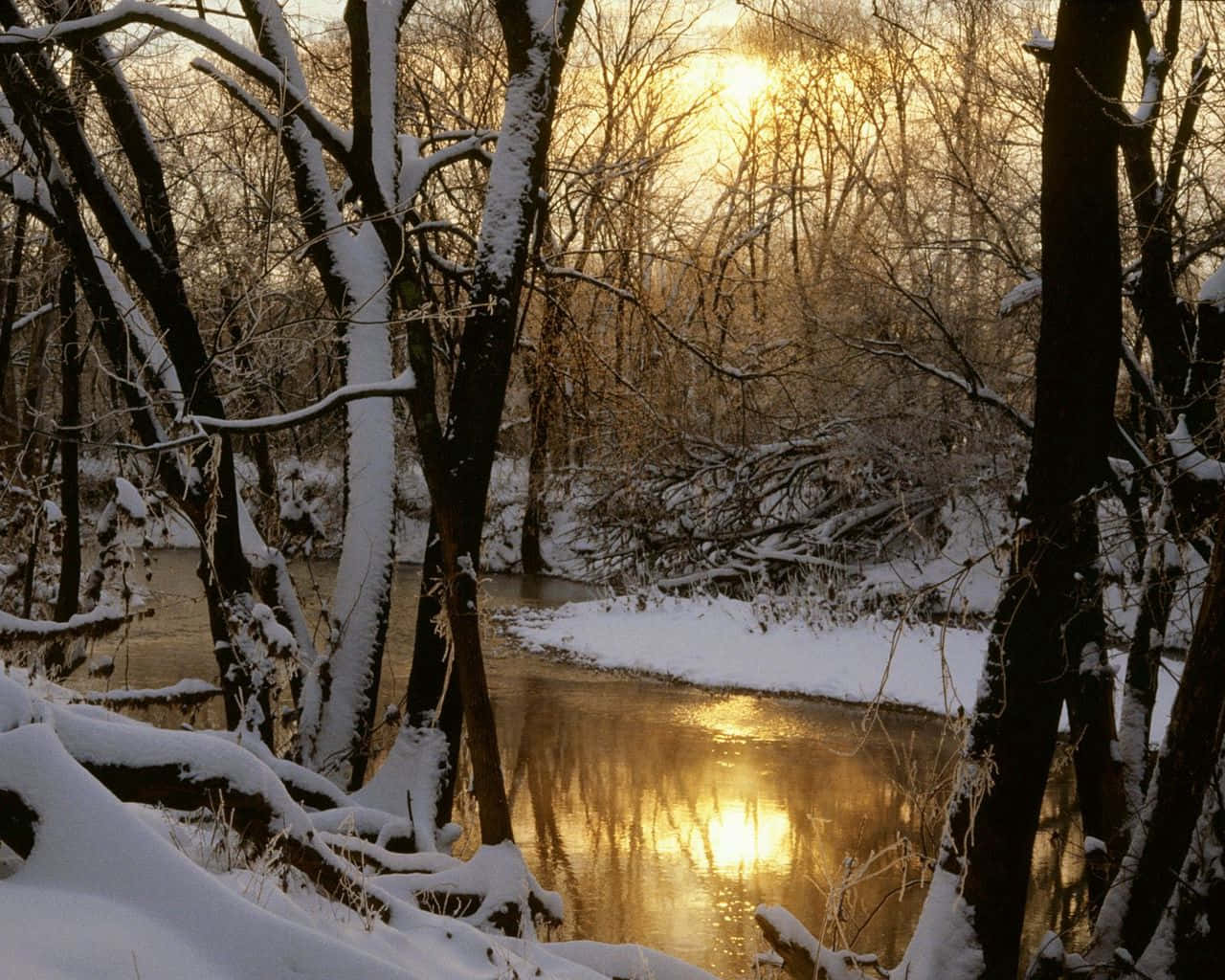 woods 桌布 壁紙 — 陽光穿過白雪覆蓋的樹木閃爍，倒映在蜿蜒穿過寂靜森林的平靜冬日溪流上。