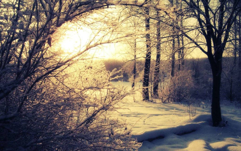 Sunrise Nature 桌布 壁紙 — 陽光穿過白雪覆蓋的裸露樹枝，灑落在寧靜的冬季森林小徑上。