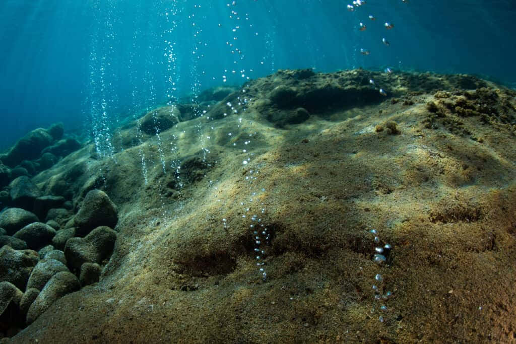 Mariana Trench 桌布 壁紙 — 陽光穿過碧綠色的海水，照亮了岩石露頭附近的沙質海床和上升的氣泡。