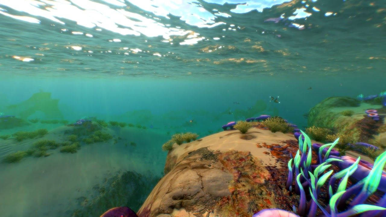 Subnautica 桌布 壁紙 — 陽光穿過碧綠色的海水，照亮了生長在岩石海底的鮮豔紫色和綠色珊瑚。